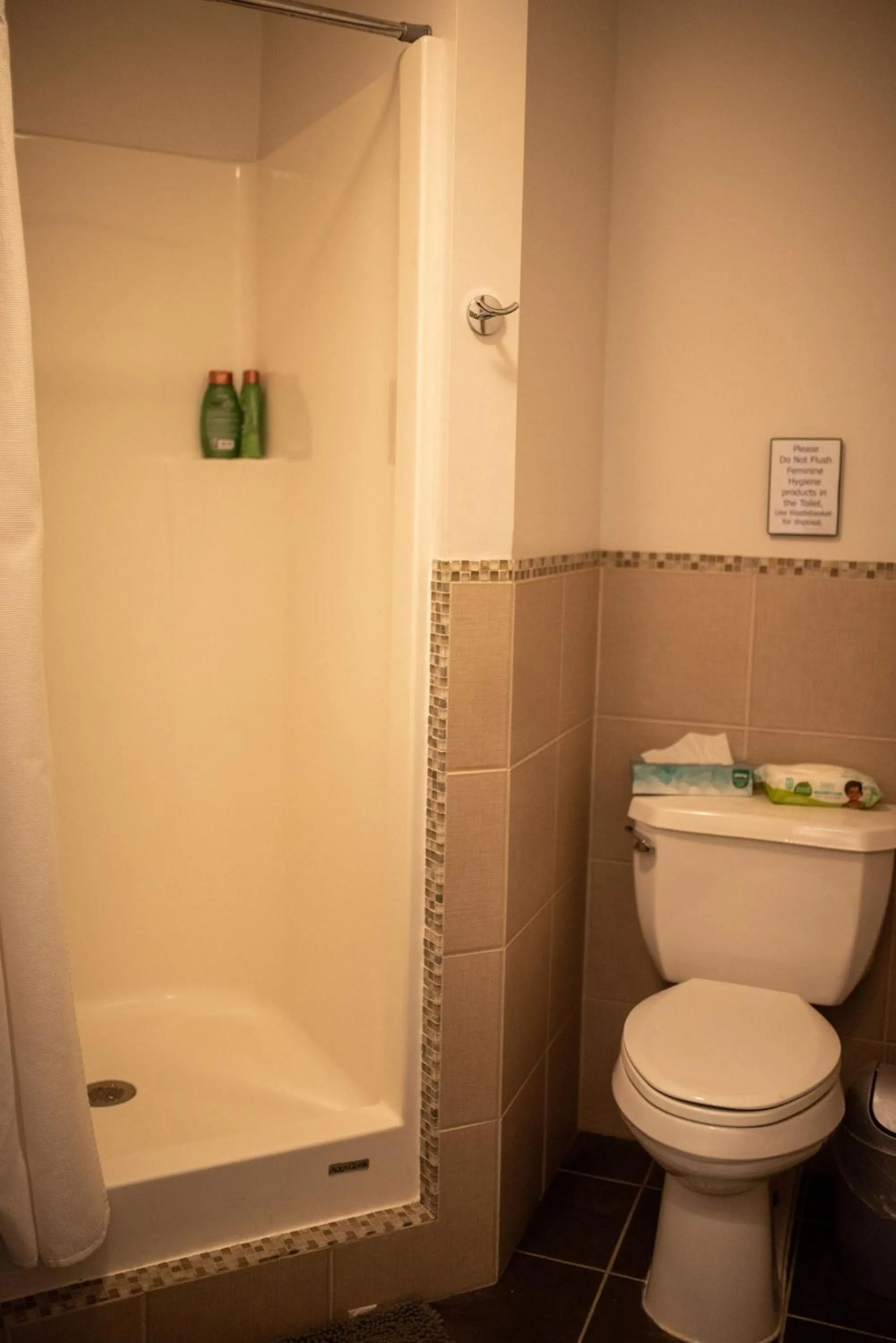 Shower in Fountainview Inn