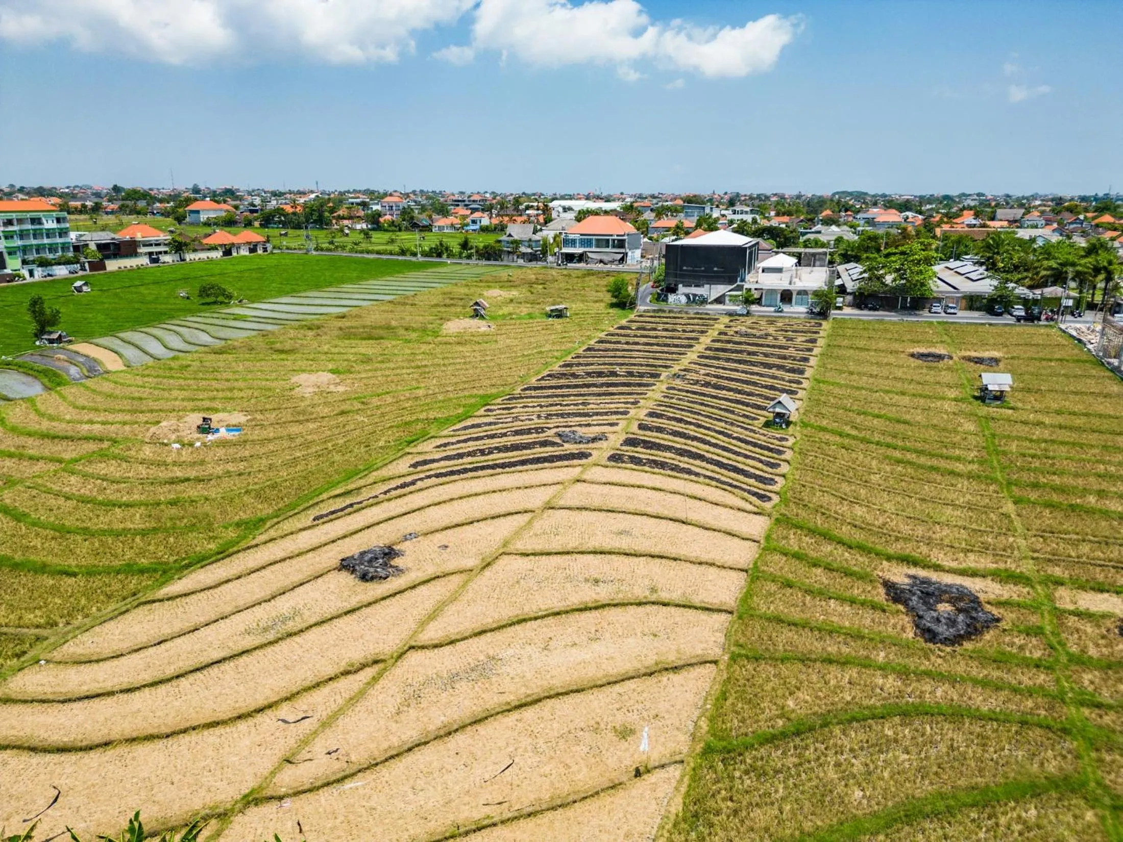 Neighbourhood in Jungle Amaranth Villa Canggu - Exclusive 3BR Retreat with Pool, Modern Amenities and Top Location