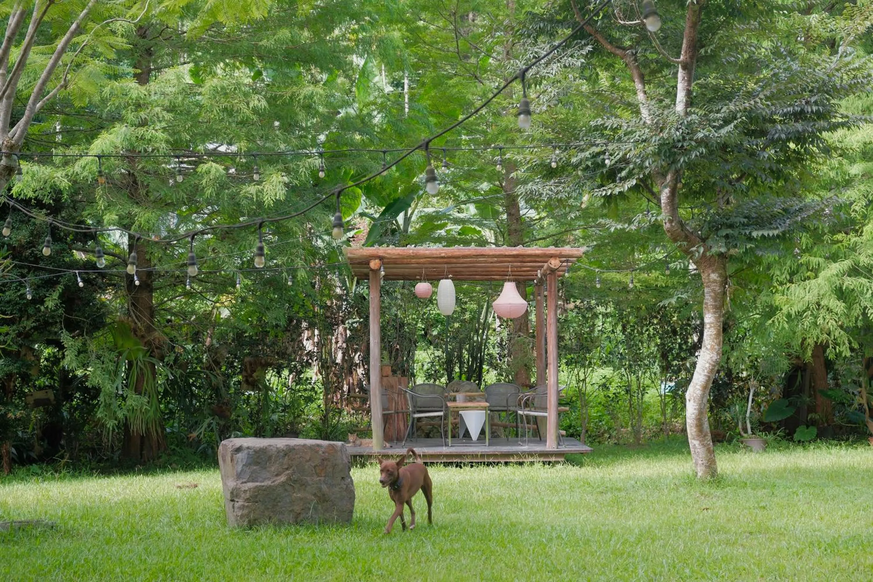 Garden in 愛黏在一起設計師民宿 Lovers BNB