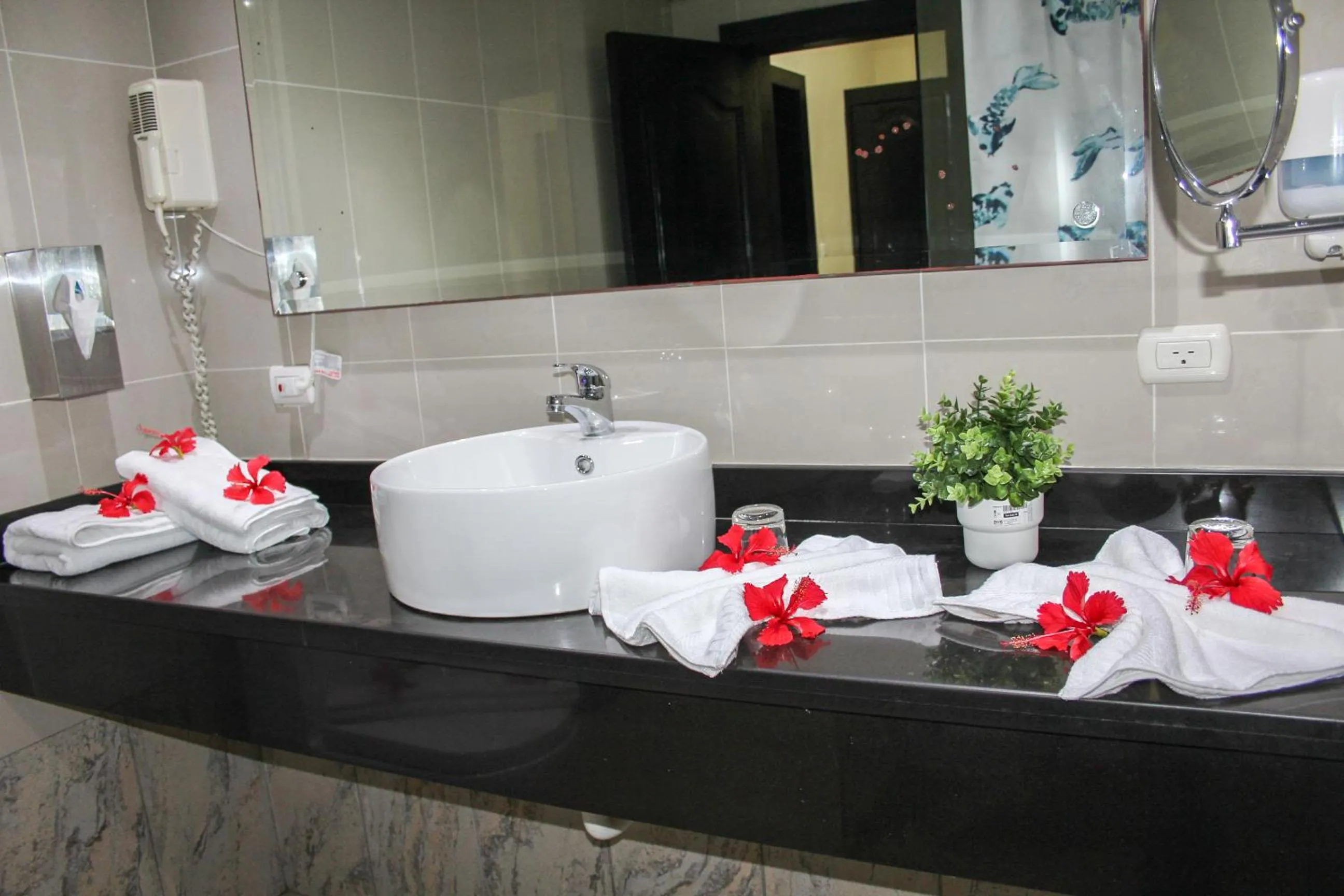 Bathroom in Hotel Plaza Brisas