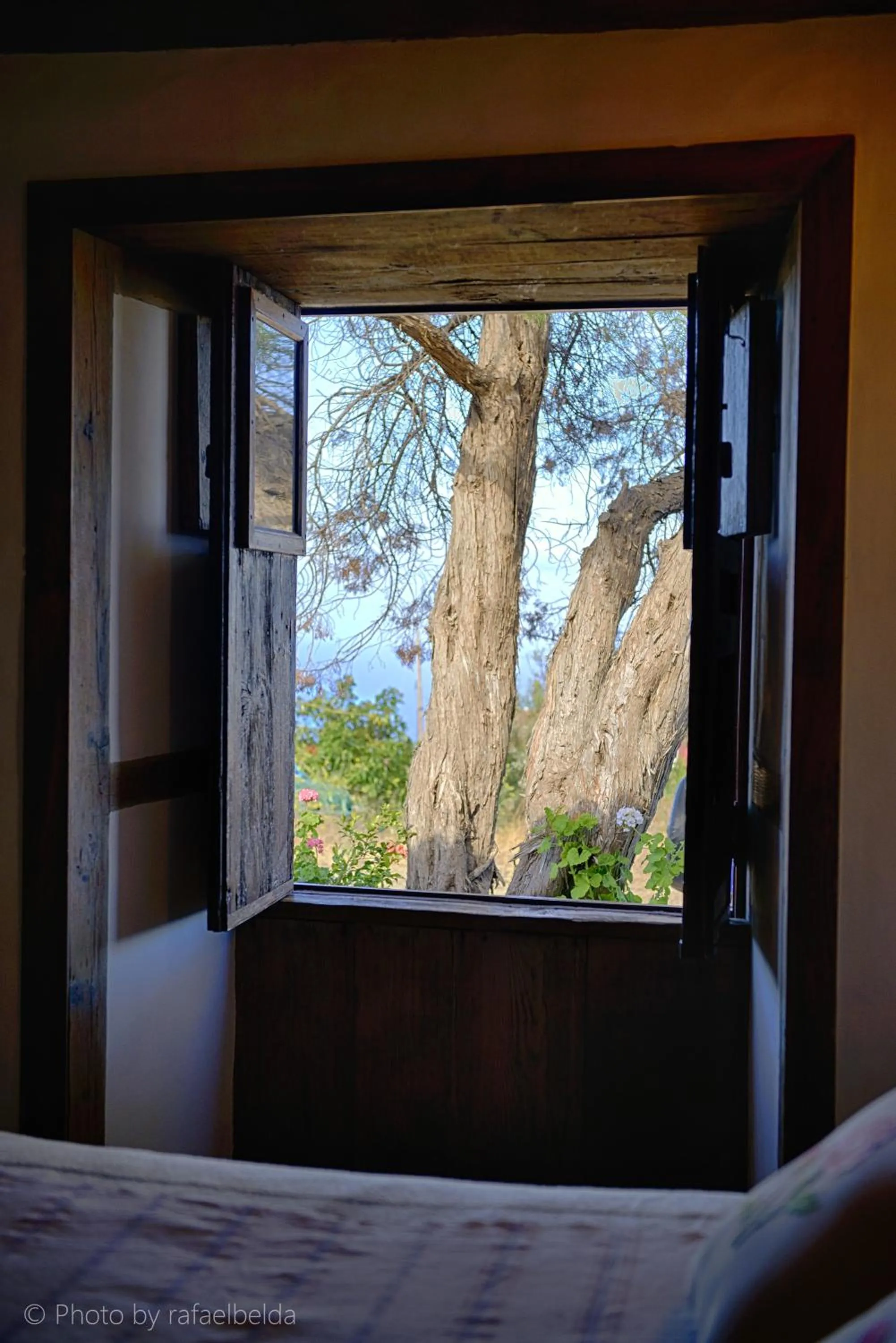 Bedroom, Bed in Salazar