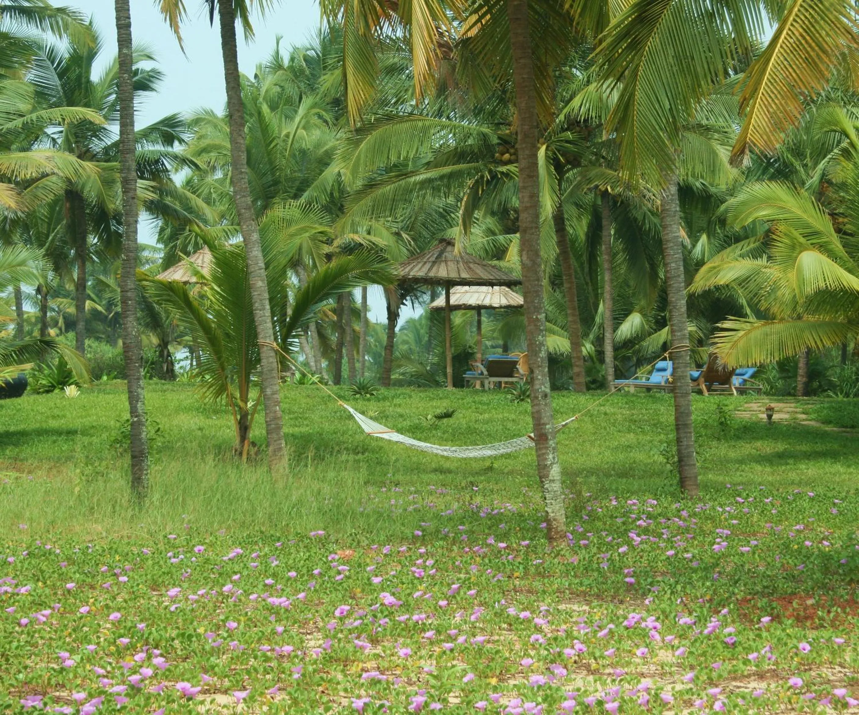 Garden in Neeleshwar Hermitage