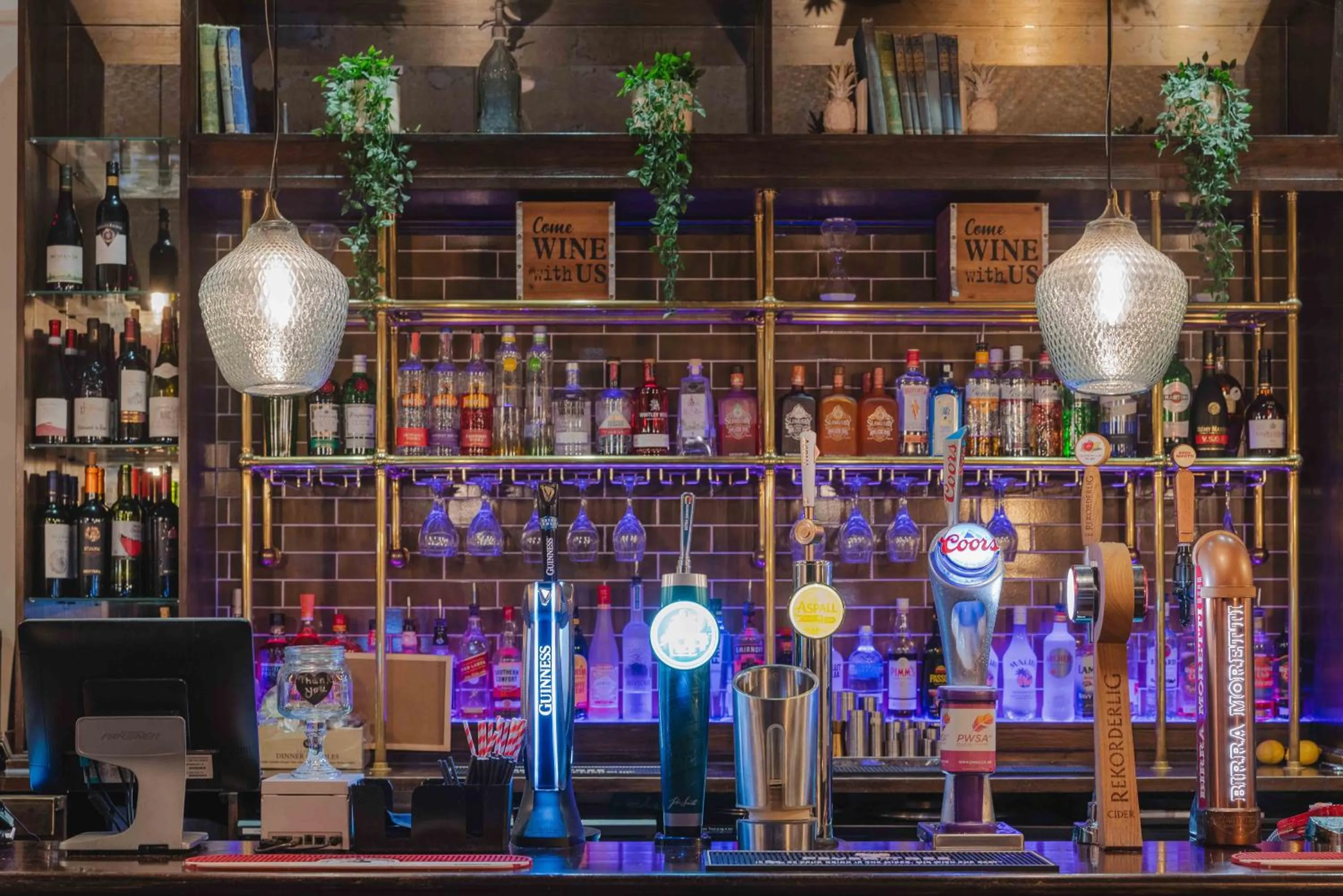 Lounge or bar in 61 Durham