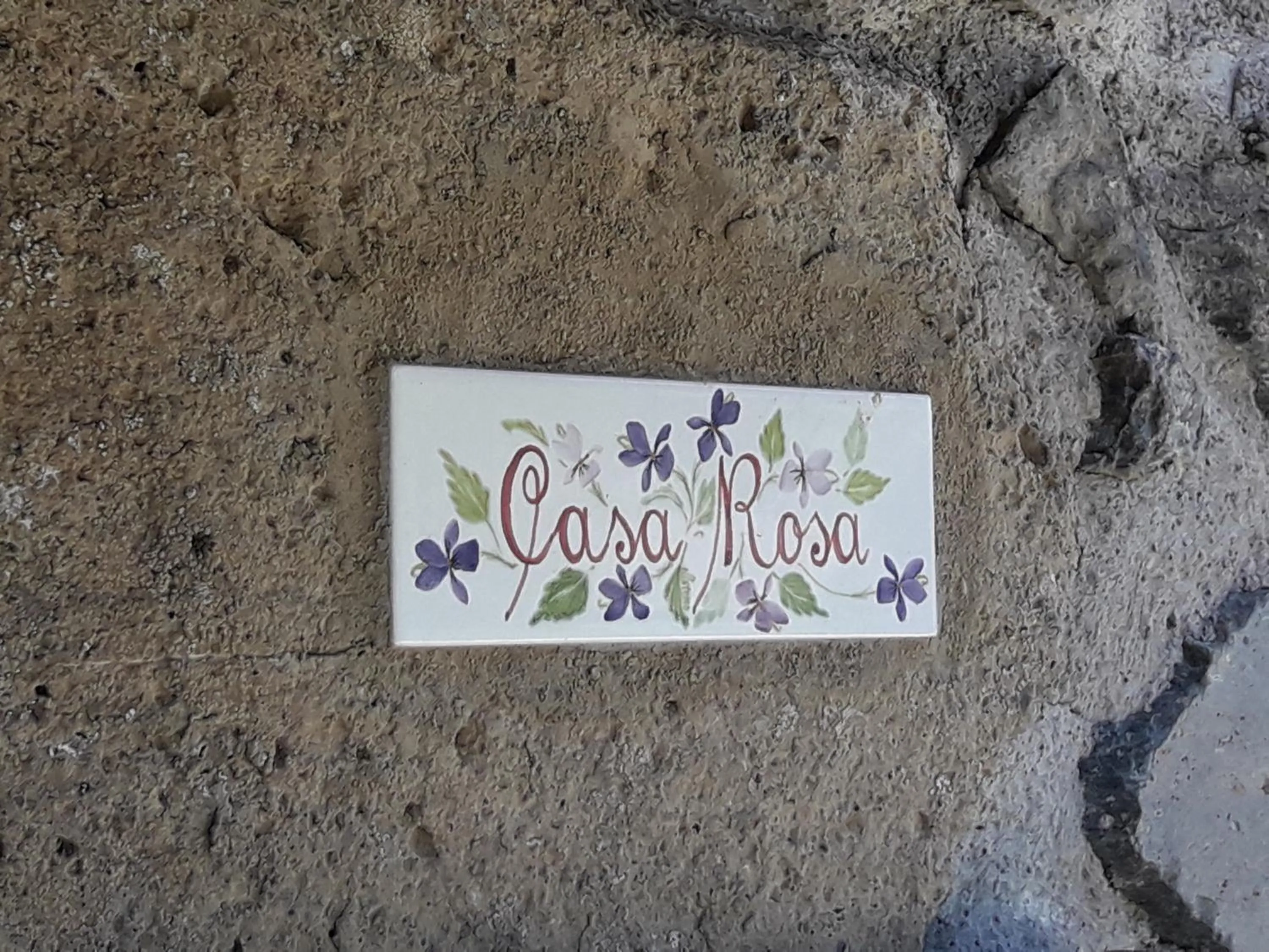 Agriturismo Cantinaccia di Sopra