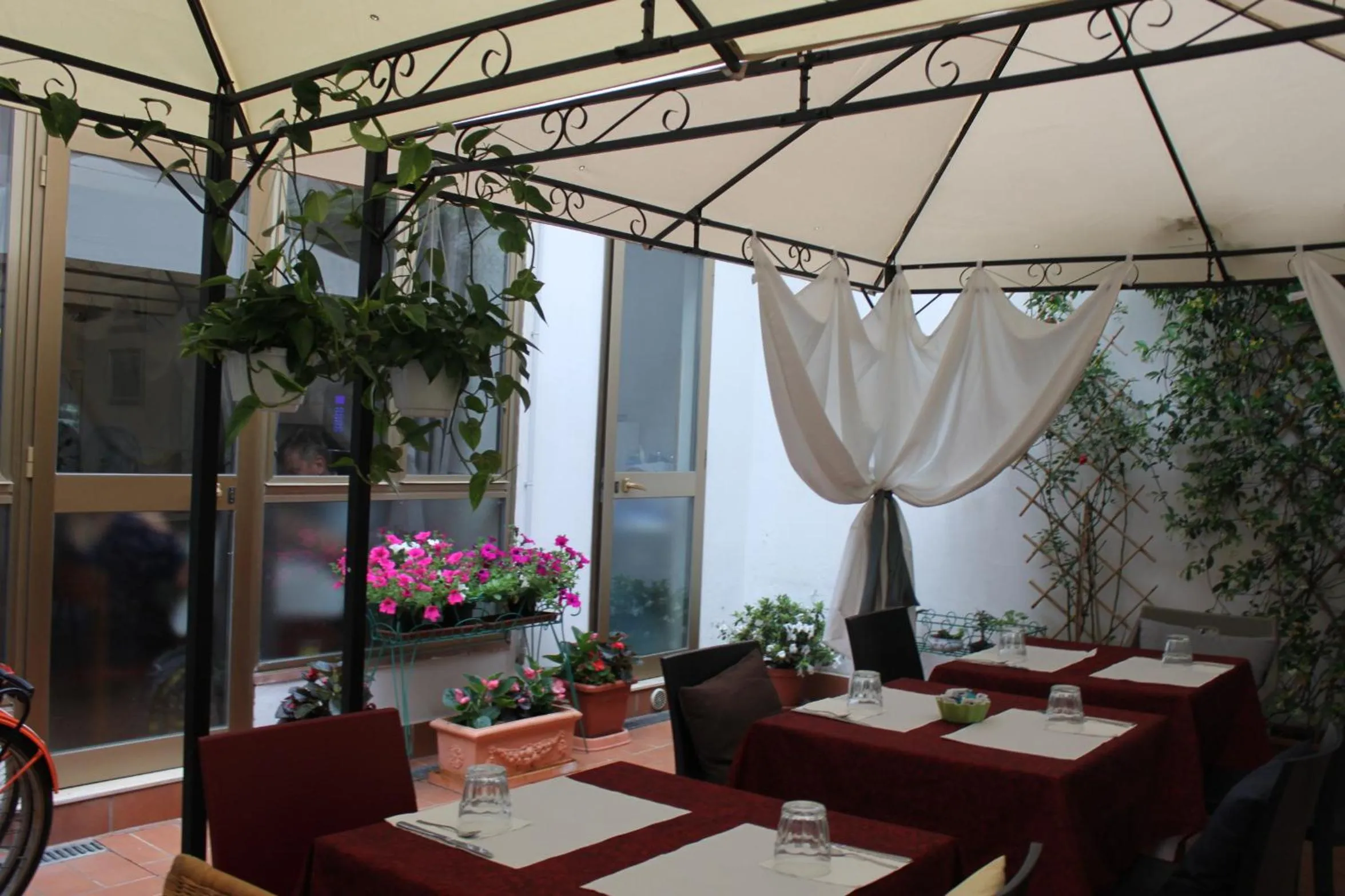 Garden in Hotel Dalmazia