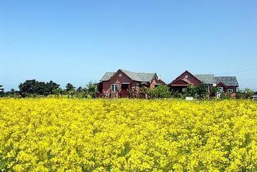 Ebbnsae Pension Ebbnsae Pension