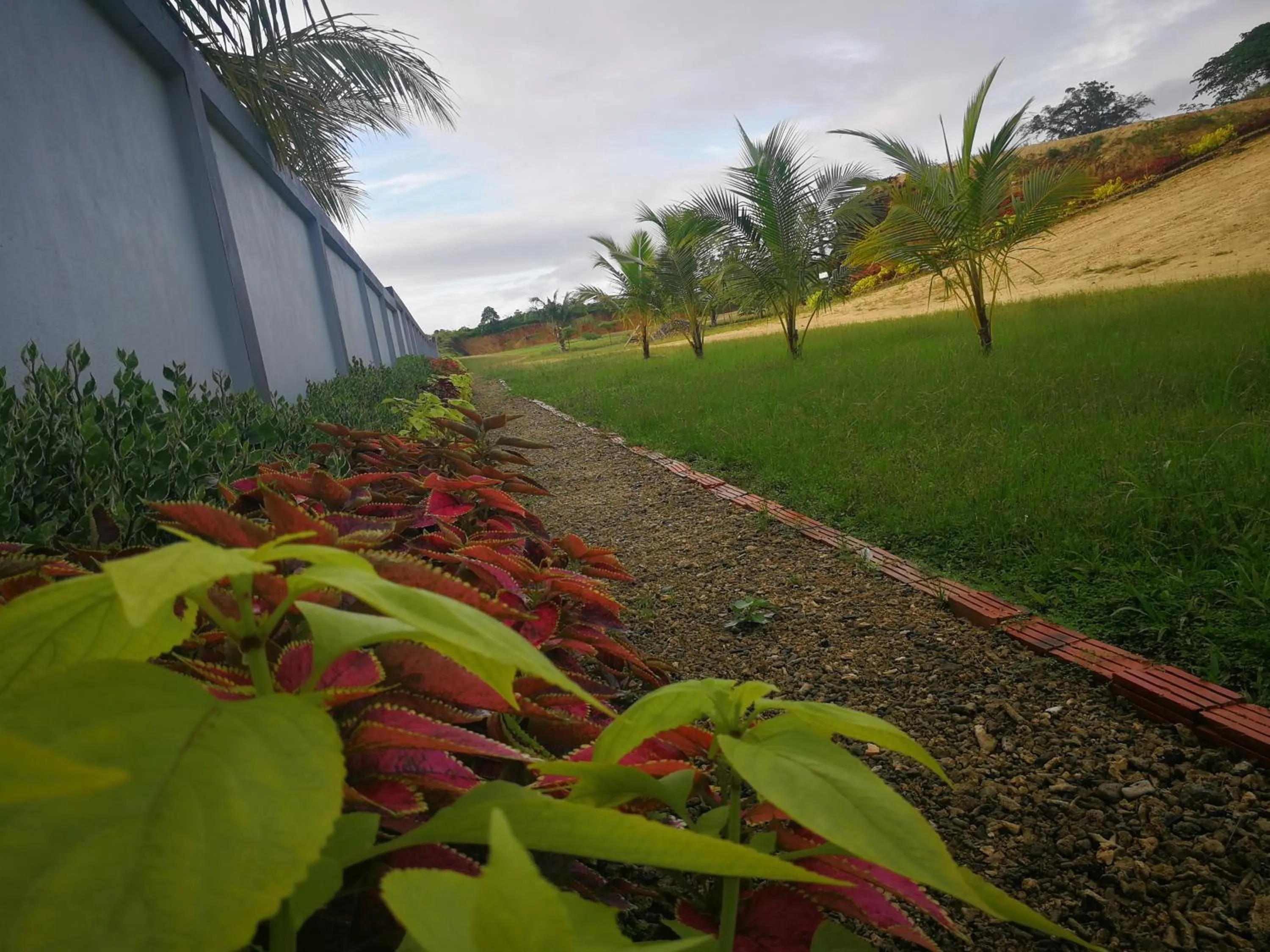 Natural landscape in Marina Hotel