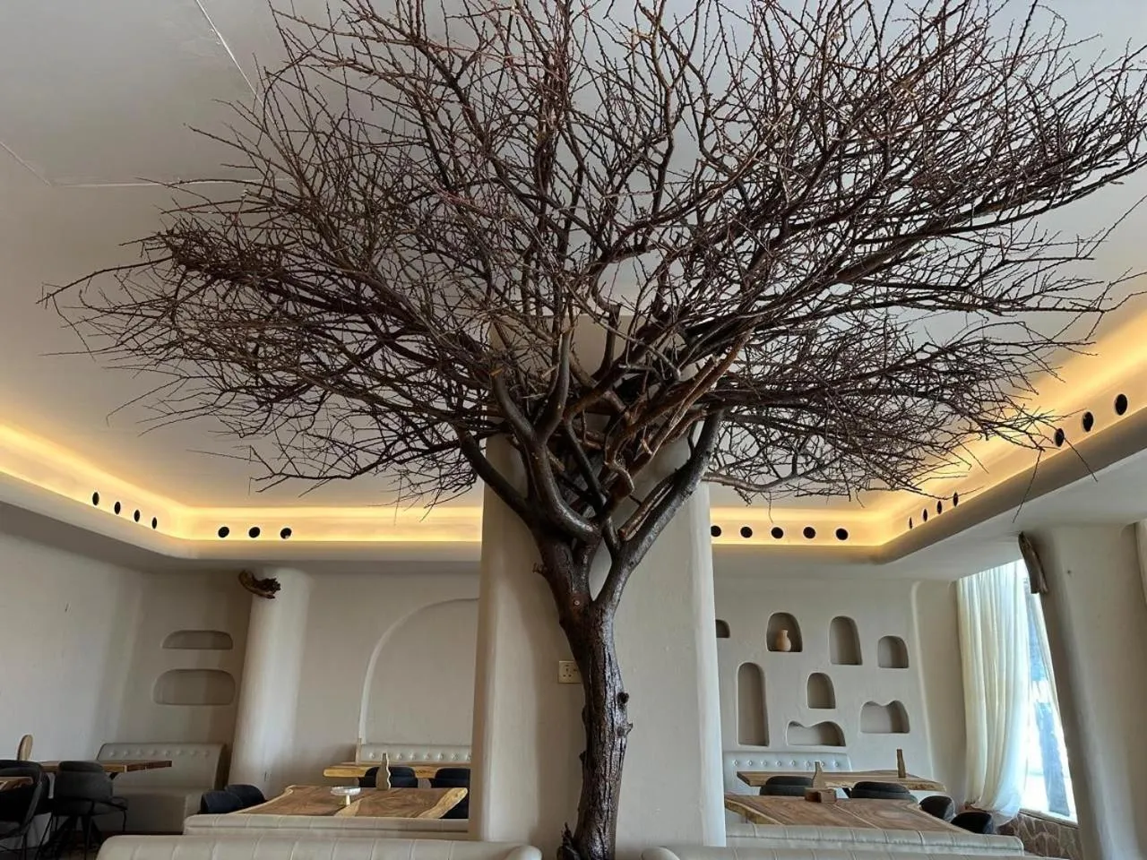 Restaurant/places to eat in Dibba Sea View Hotel by AMA Pro