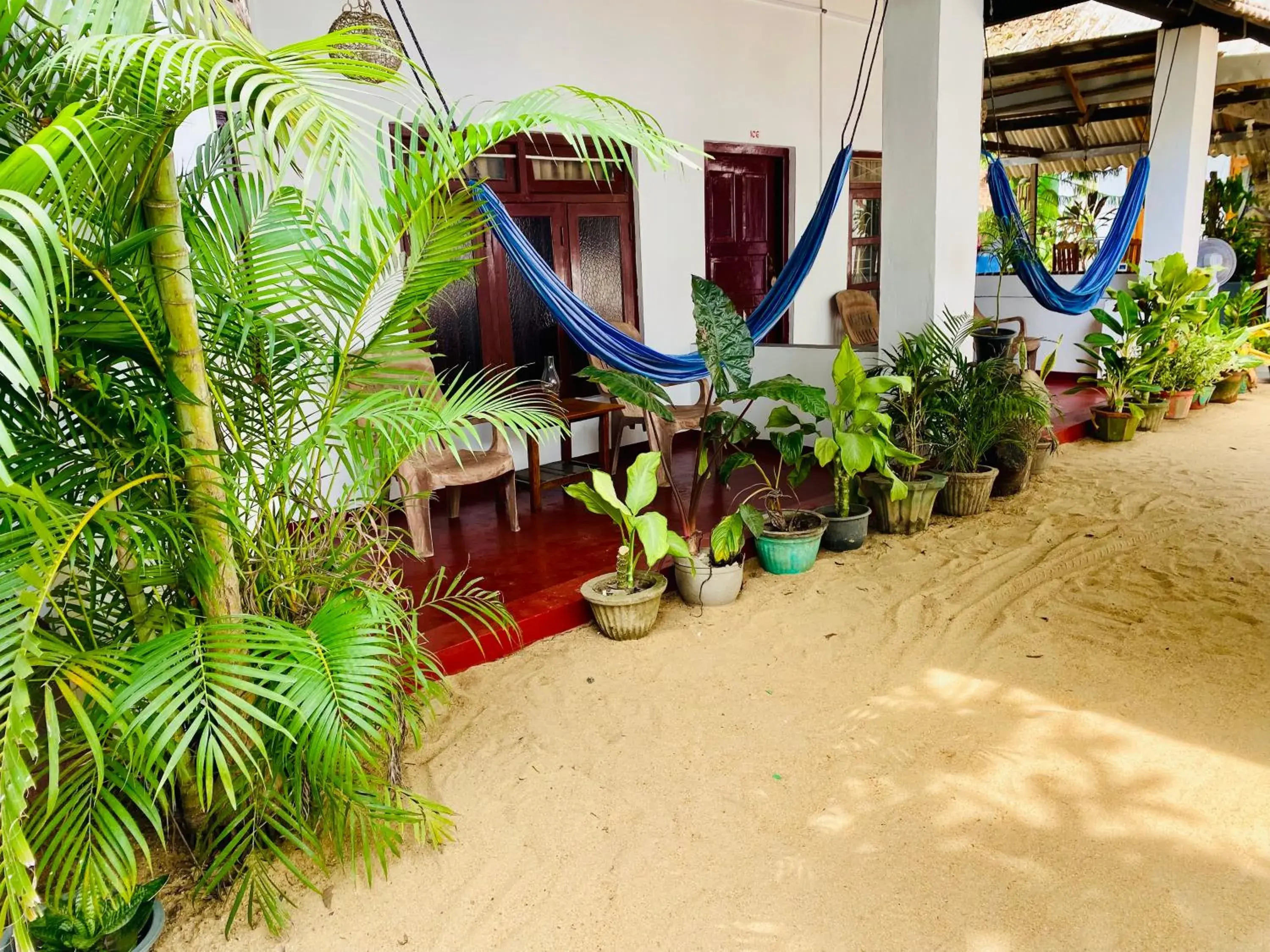 Budget Double Room in Tropicana Home Stay Budget Double Room in Tropicana Home Stay
