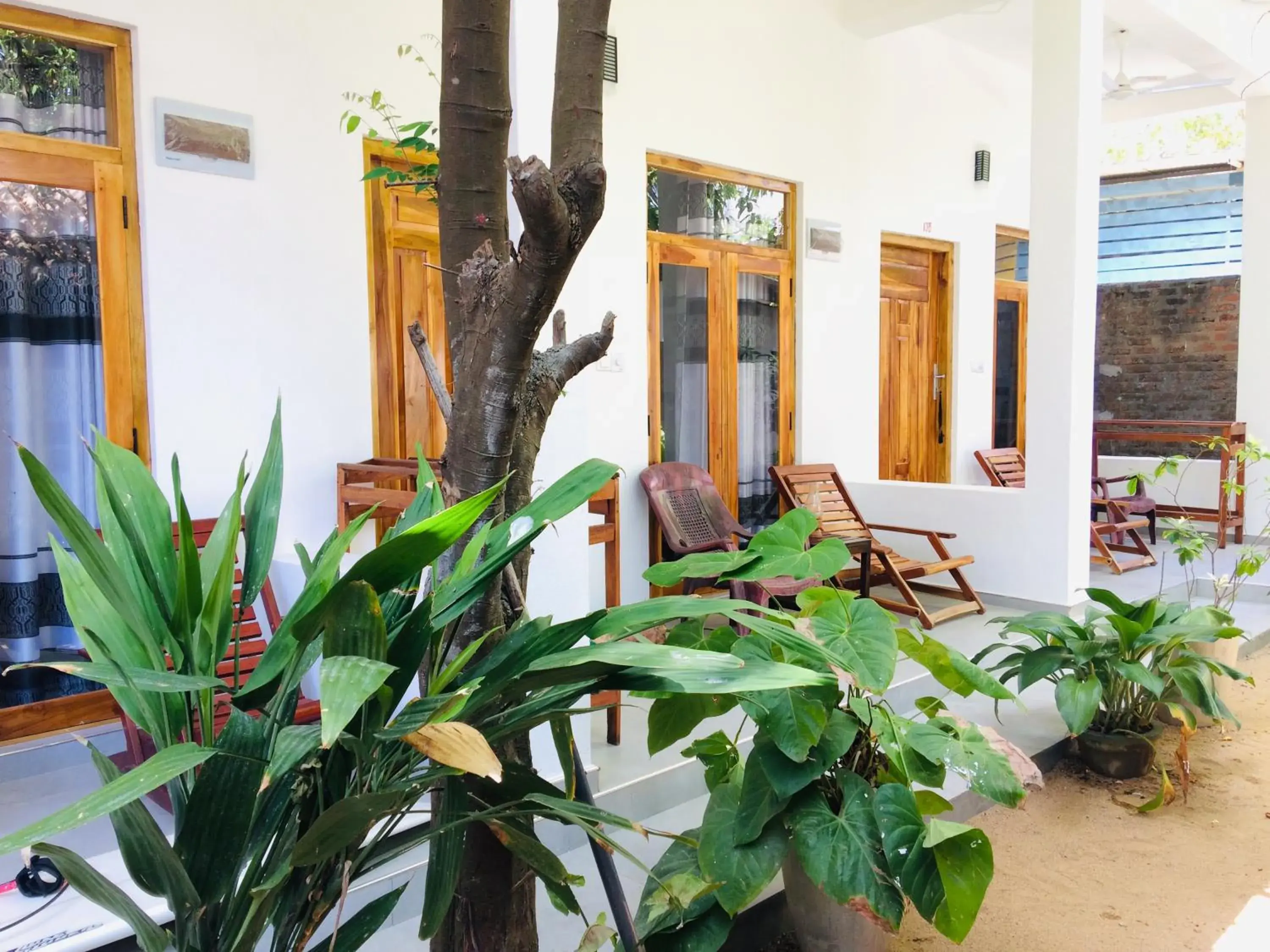 Superior Double Room in Tropicana Home Stay Superior Double Room in Tropicana Home Stay