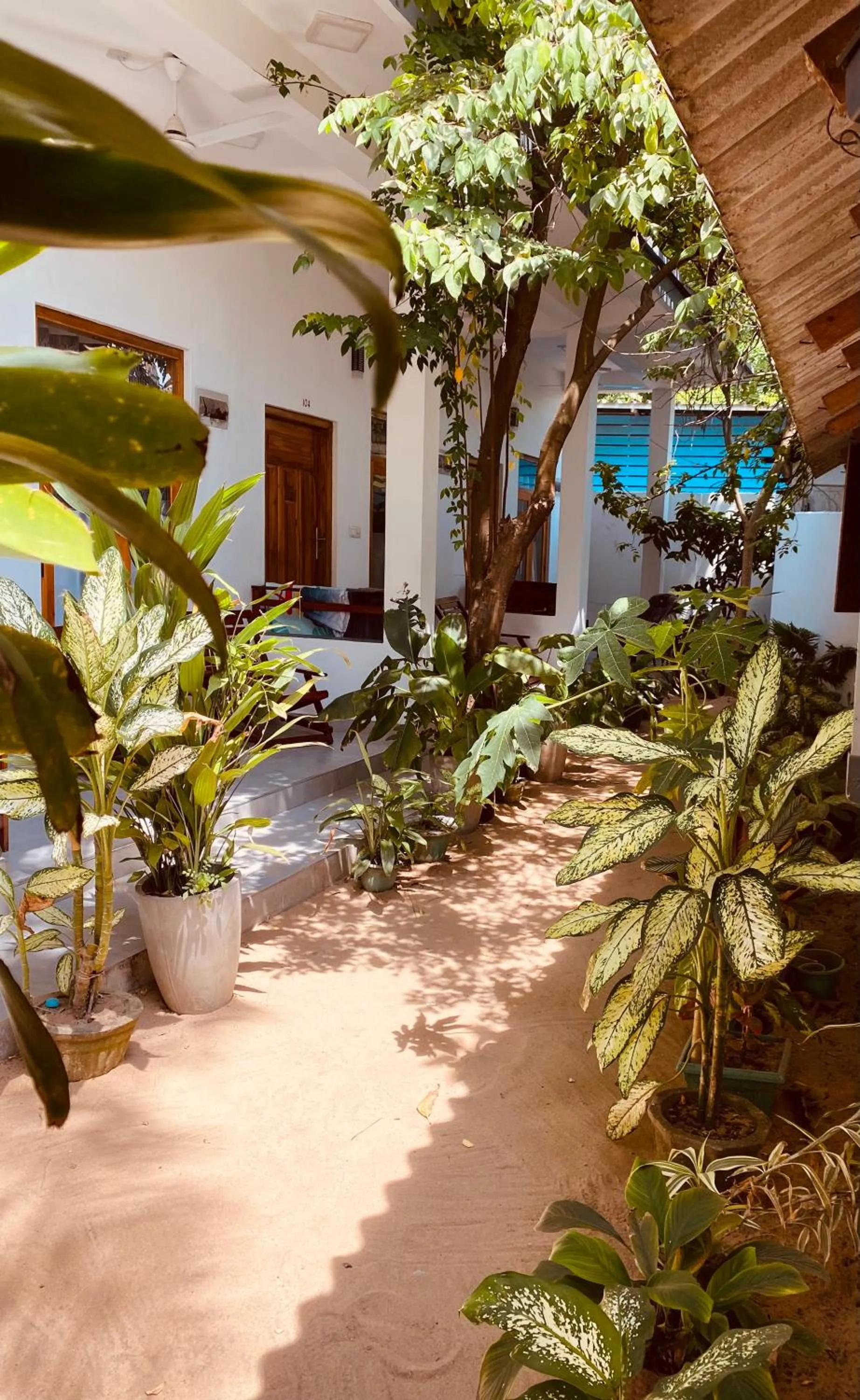 Tropicana Home Stay