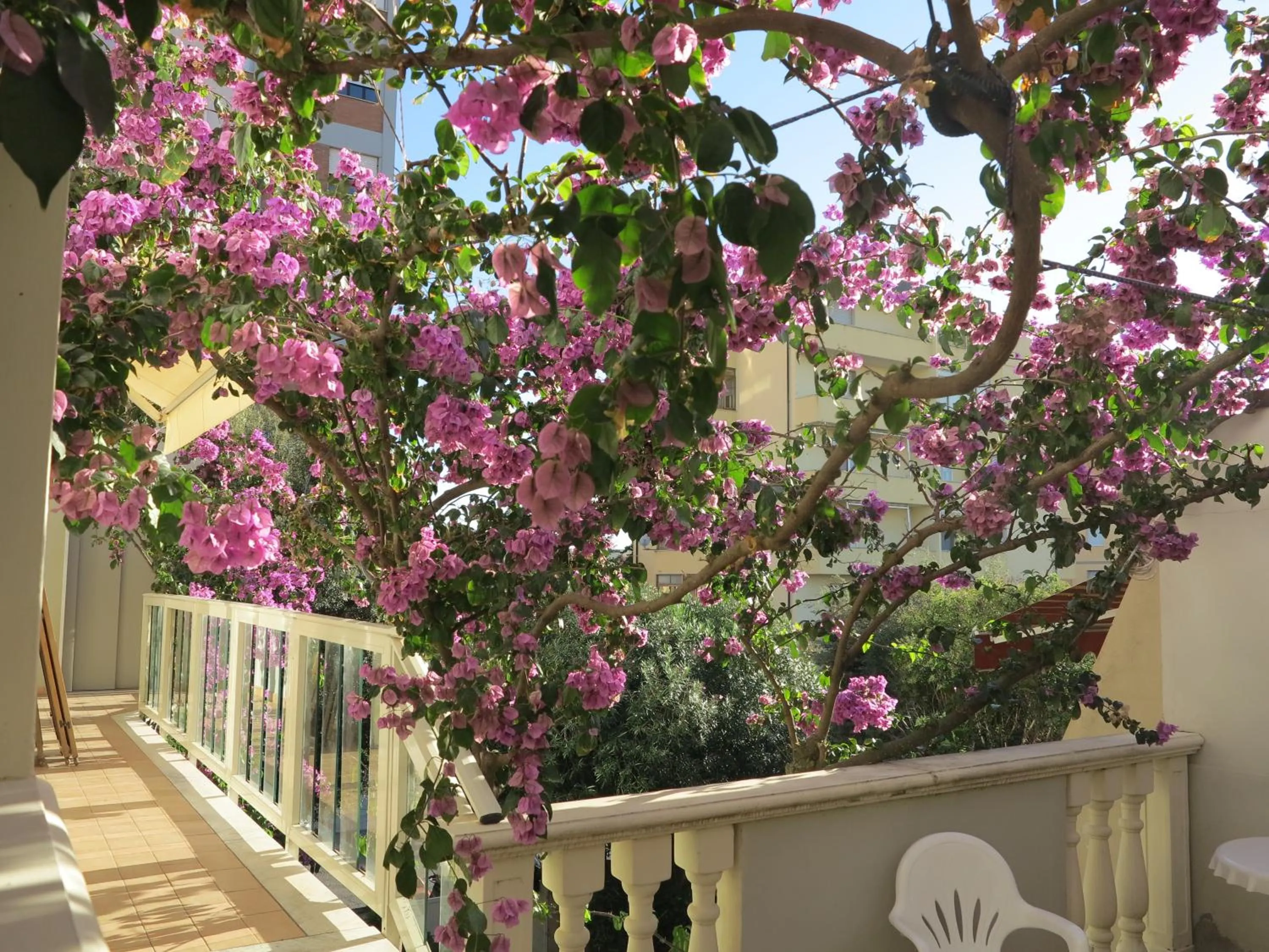 Balcony/Terrace in Casamare Hotel
