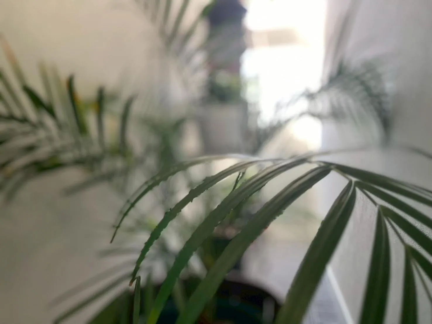 Area and facilities in Yuzawa house