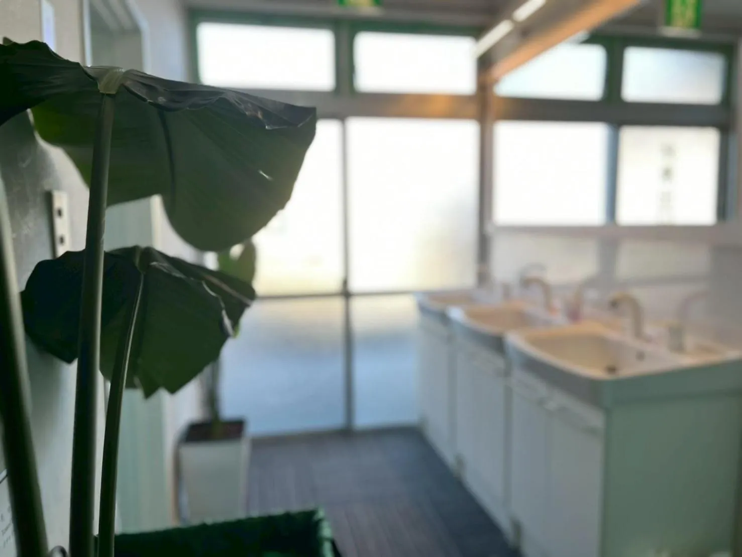 Area and facilities in Yuzawa house