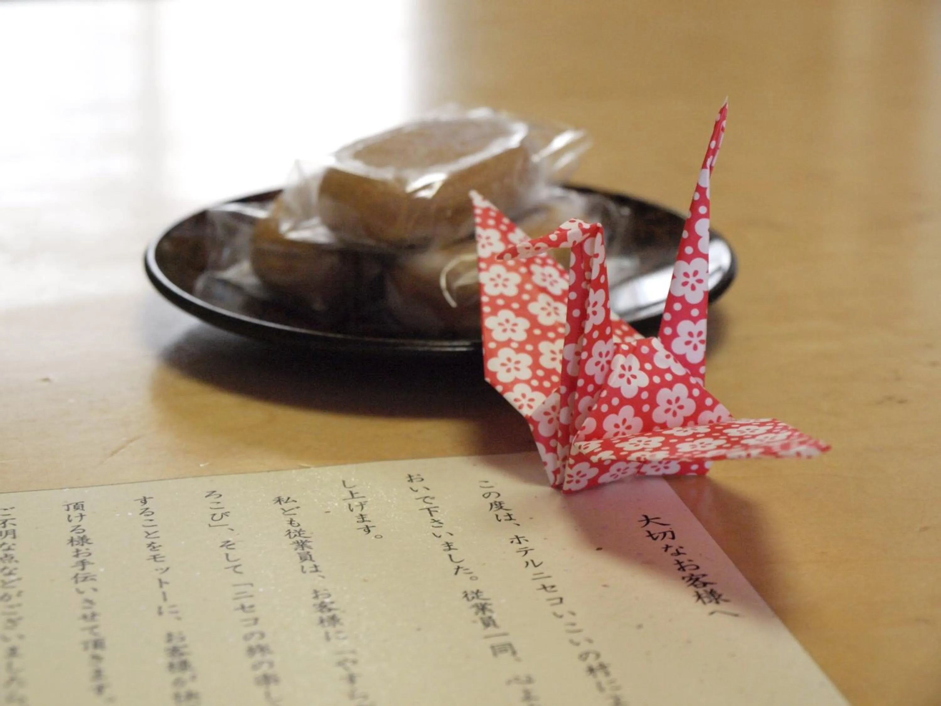 Other in Niseko Hot Spring Ikoino Yuyado Iroha