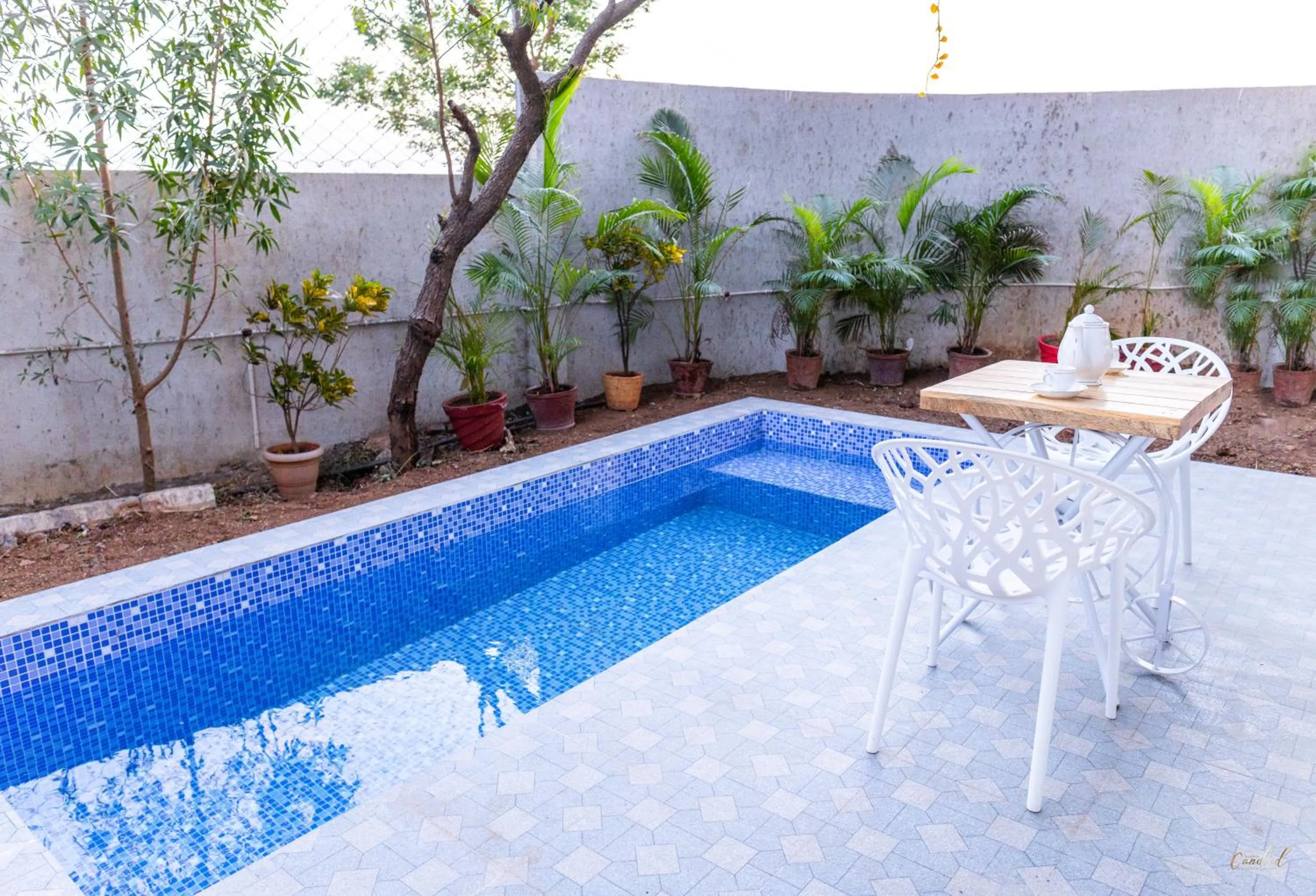 Bathroom in Daksh Eden Greenz -A Luxury Resort in Sasan Gir
