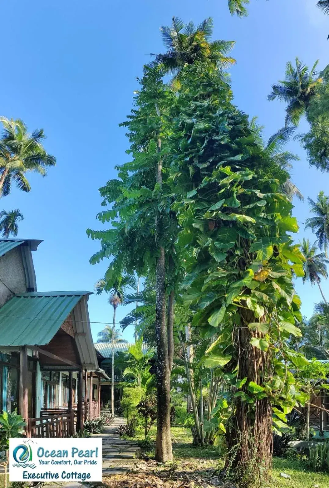 Property building in Ocean Pearl Beach Resort Property building in Ocean Pearl Beach Resort