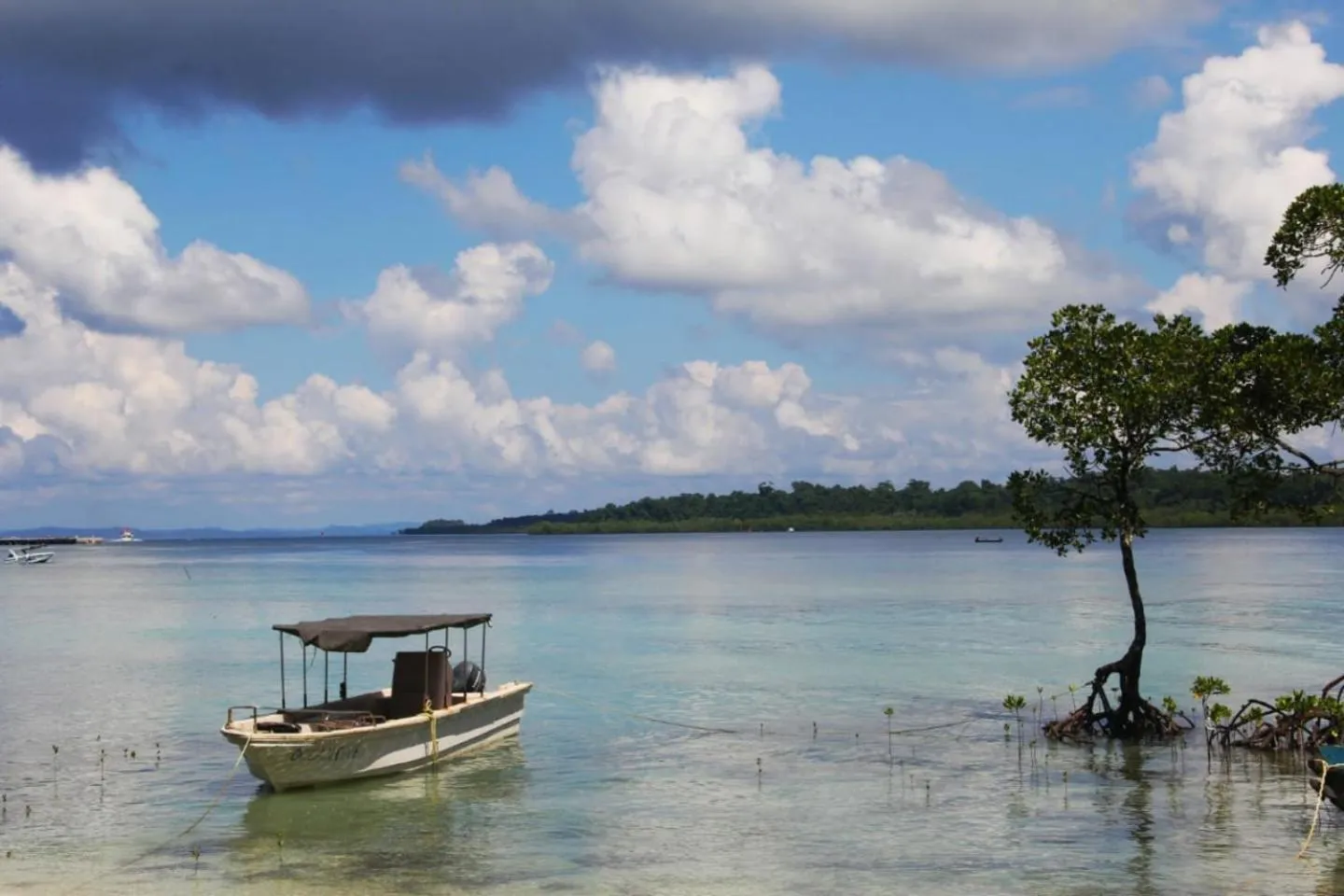 Beach in Ocean Pearl Beach Resort