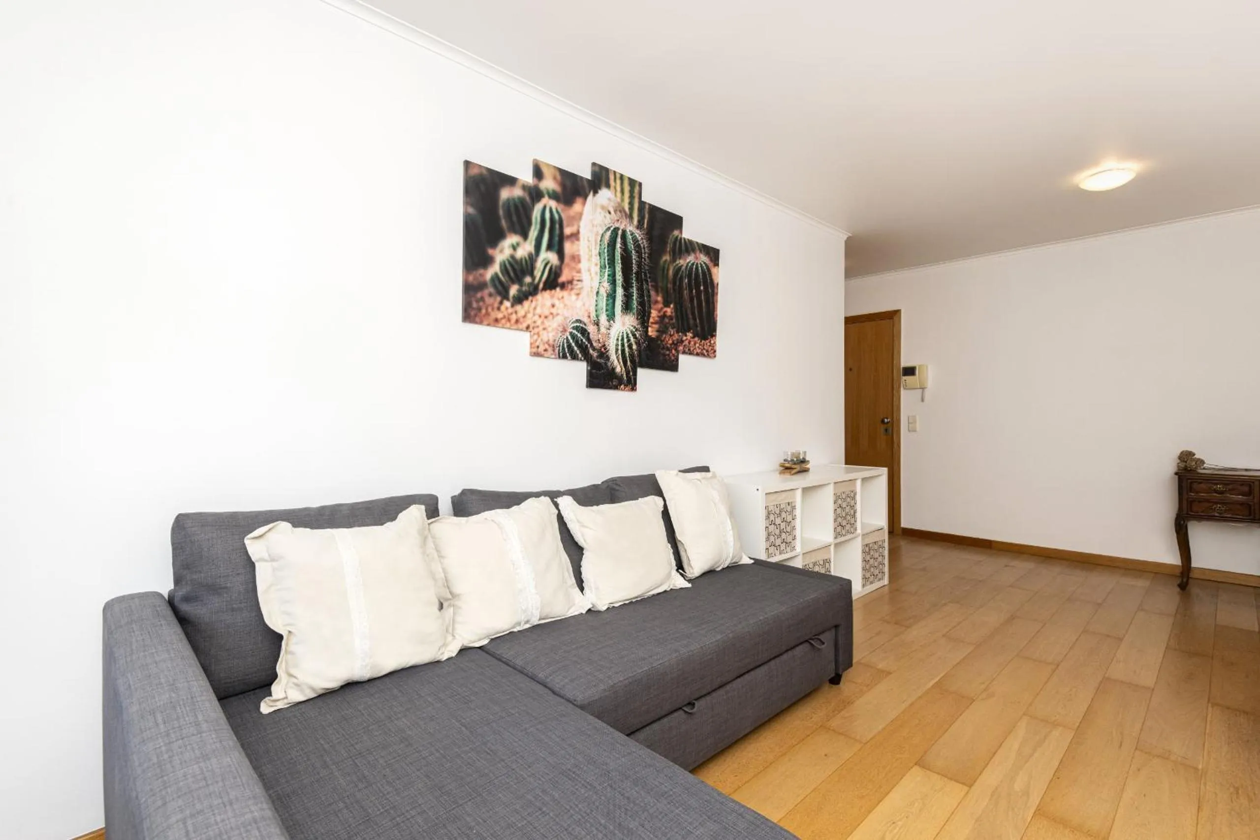 Olaias Design by Homing