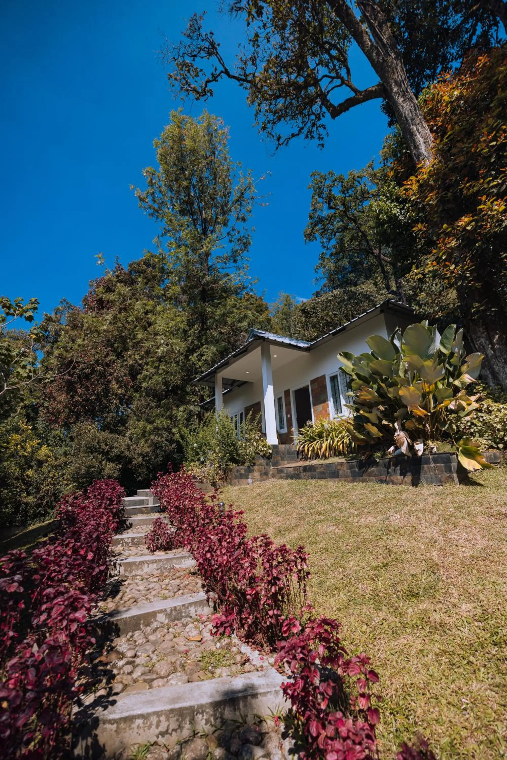 Property building in Elixir Woods Luxury Resort And Spa, Munnar