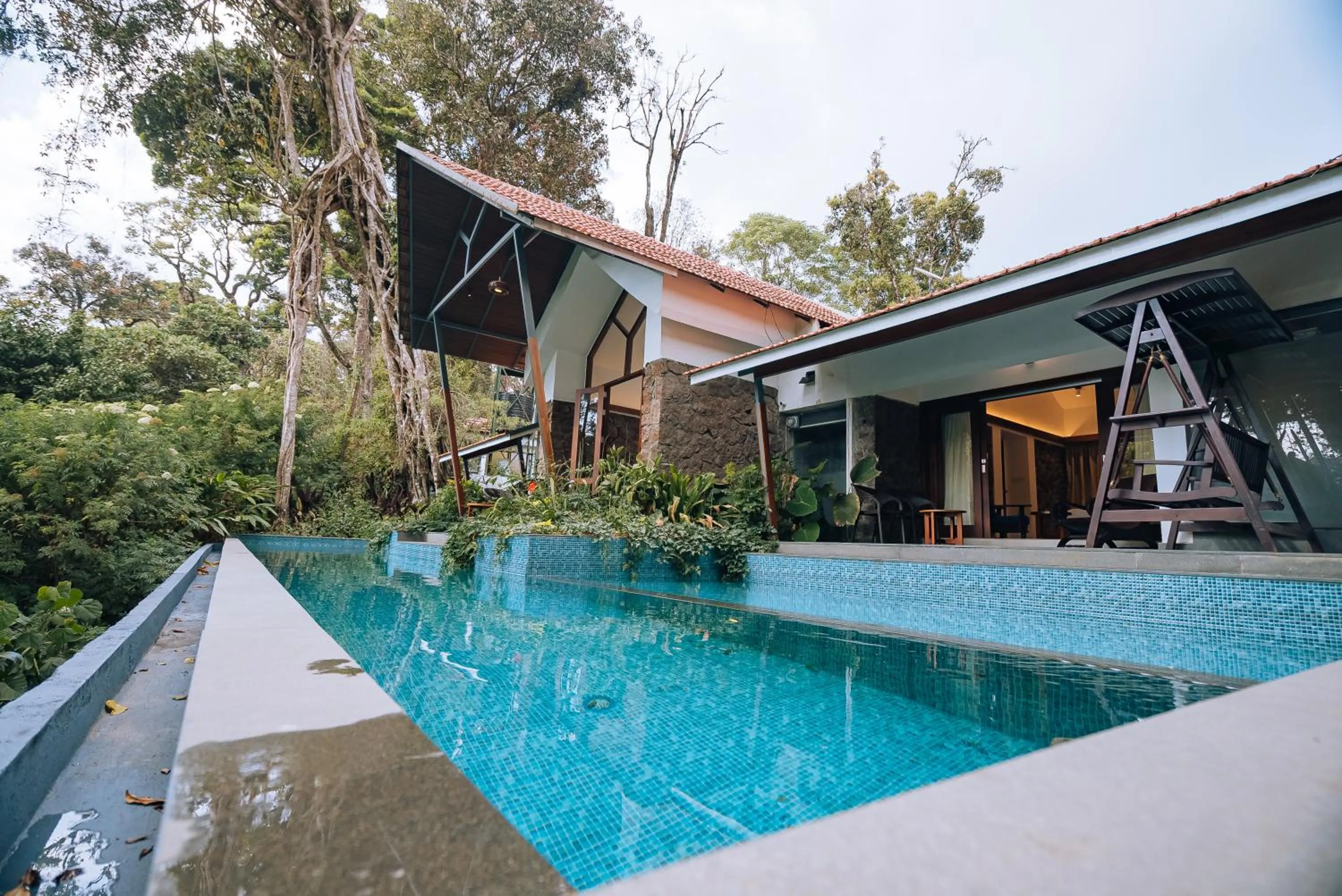 Swimming pool in Elixir Woods Luxury Resort And Spa, Munnar