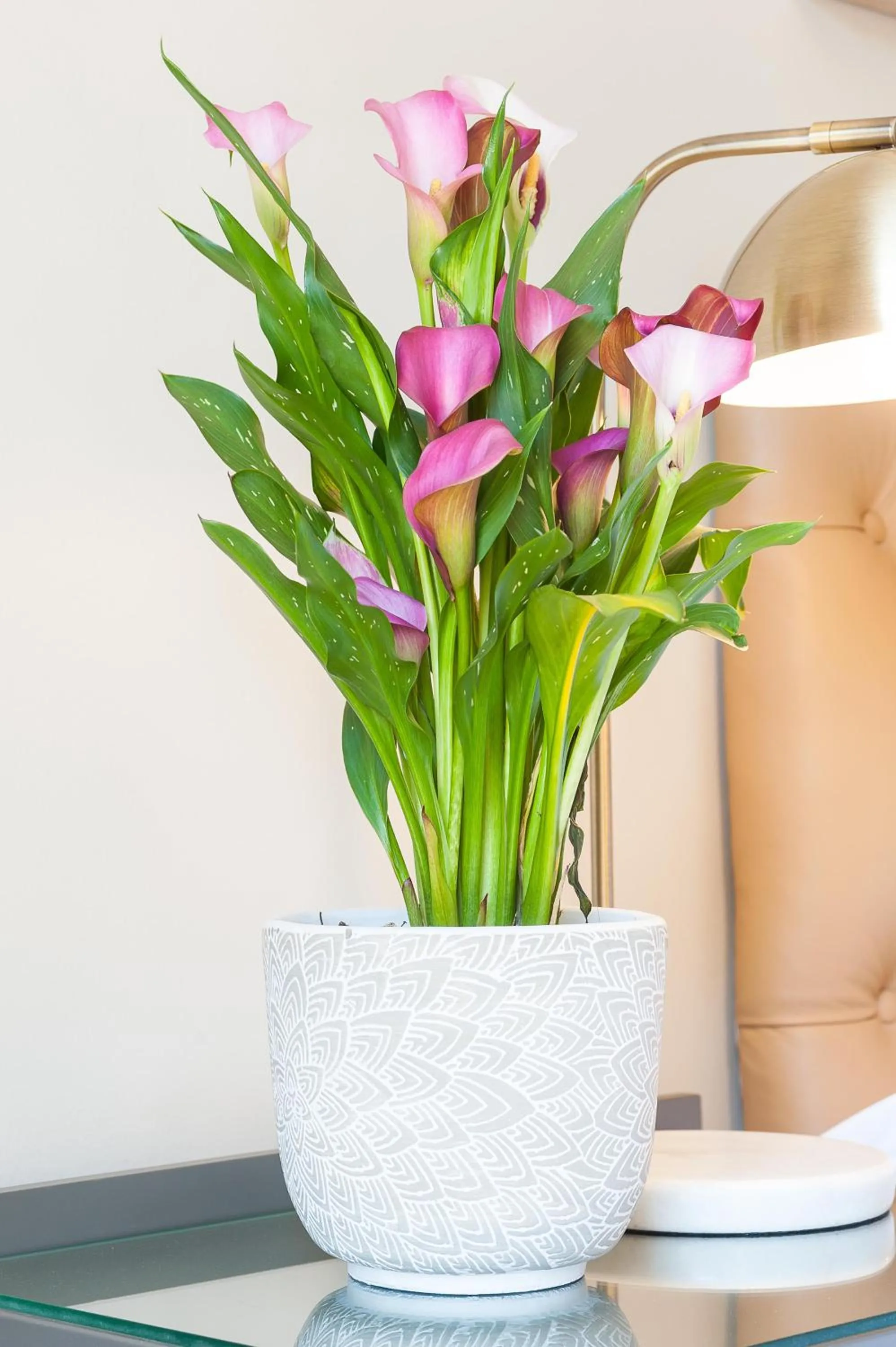 Decorative detail in Evertsdal Guesthouse