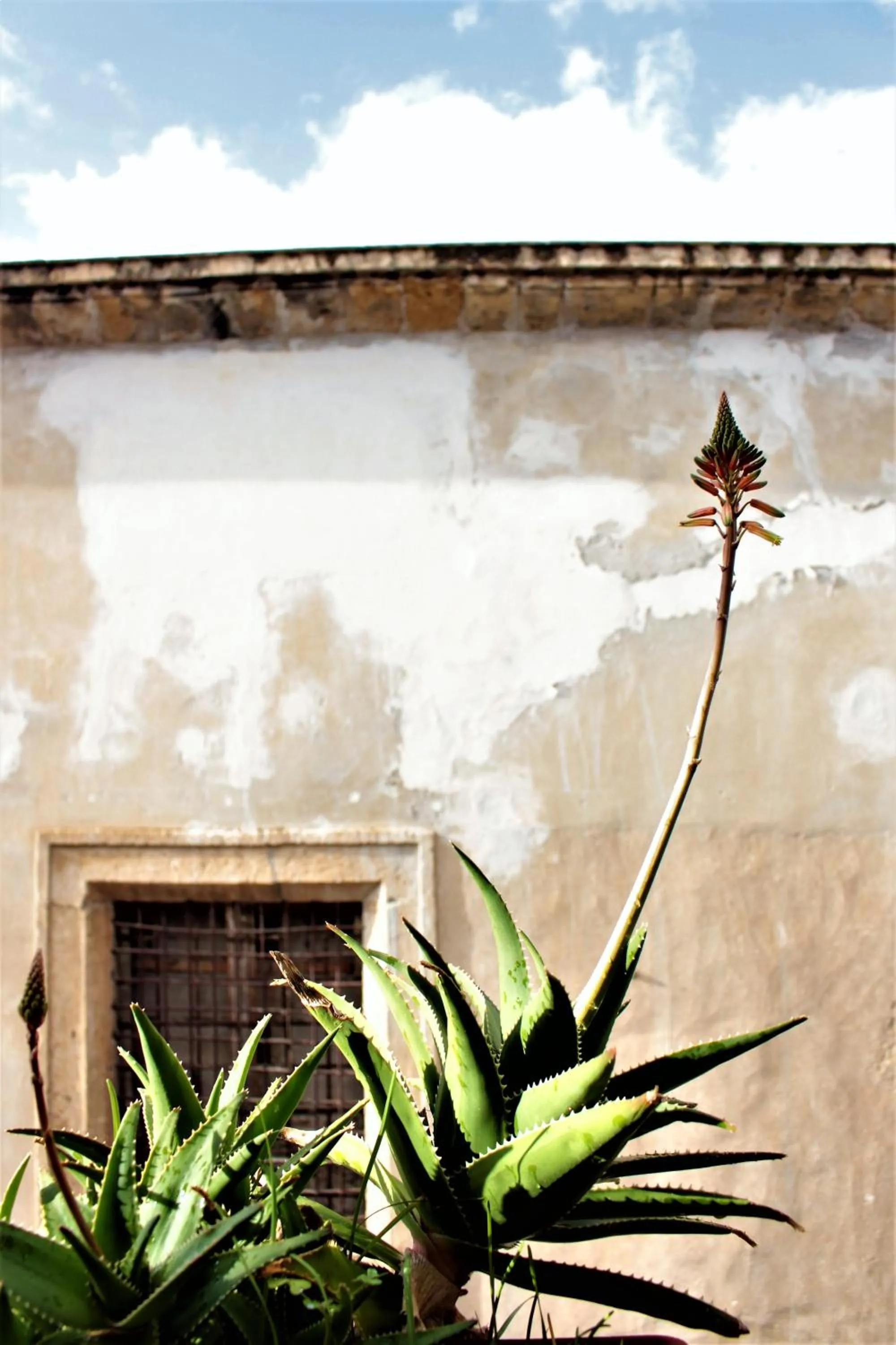 La Via delle Biciclette