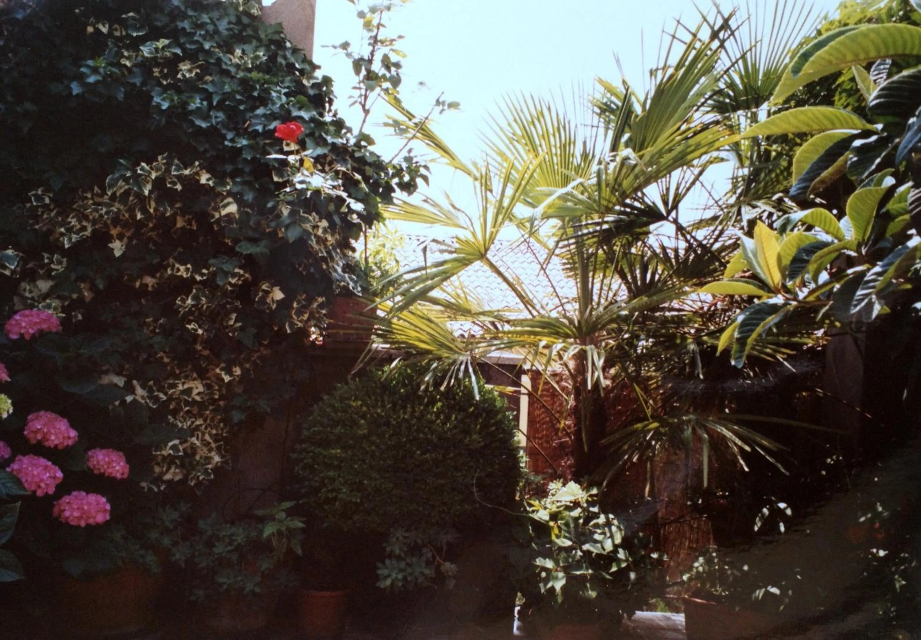 Summer in Gheller Apartment