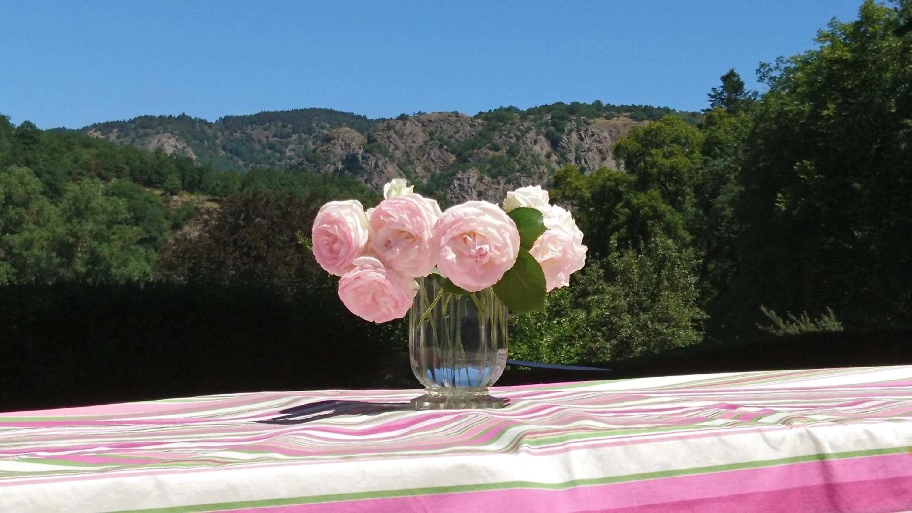 Mountain view in Chateau de Durianne