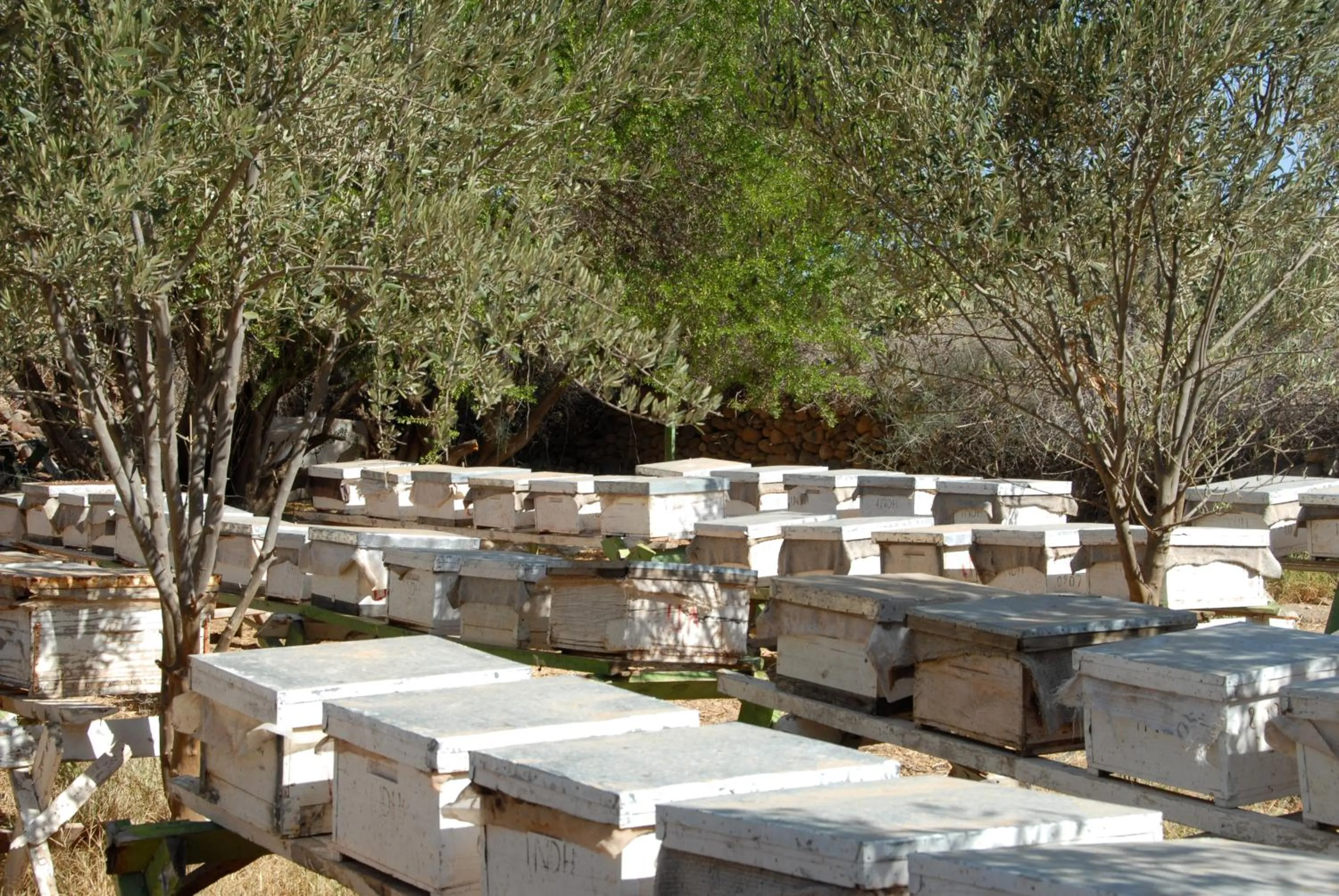 Other in Hotel Aladarissa Ait Baha