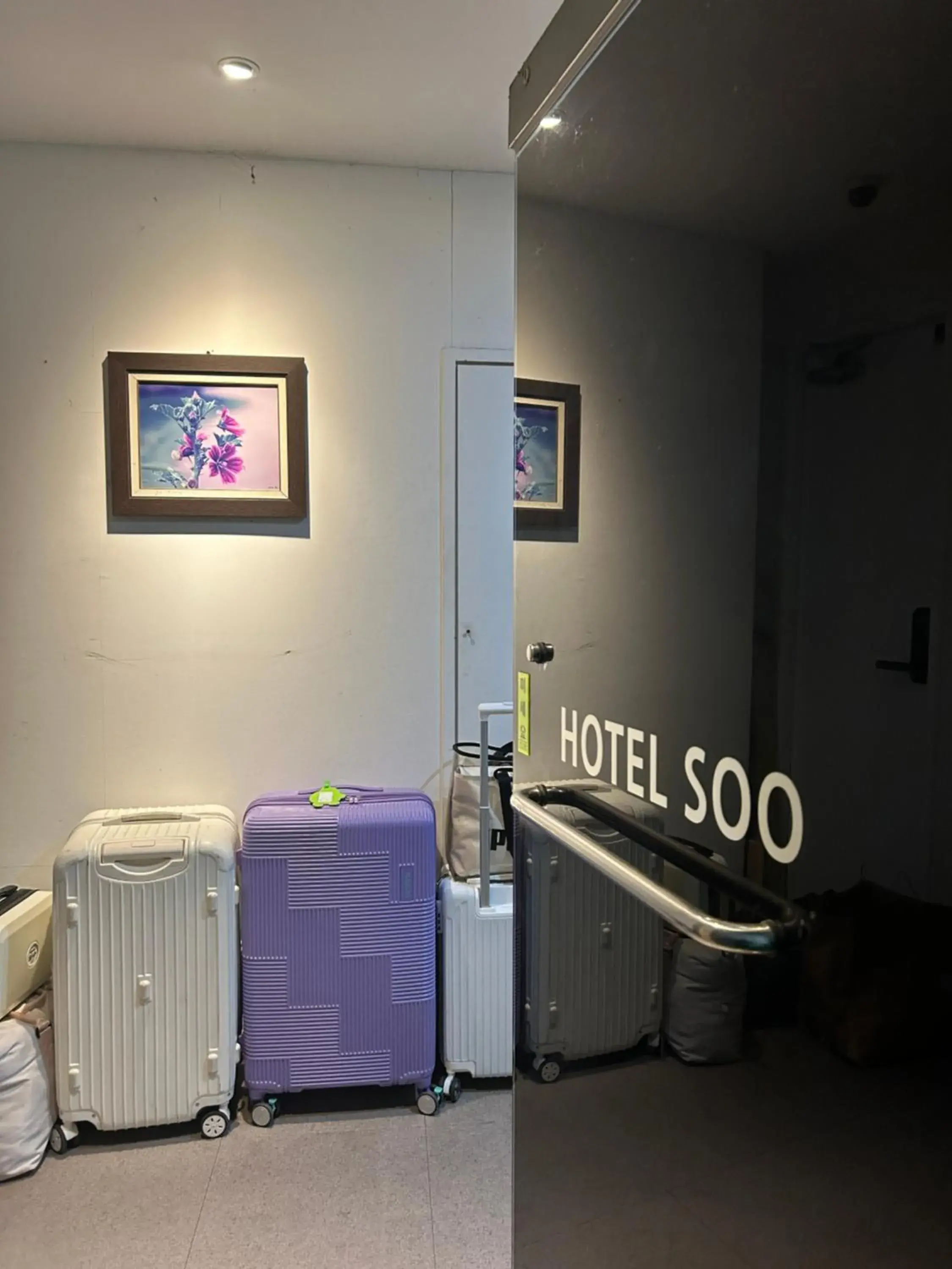 Lobby or reception in Hotel Soo Lobby or reception in Hotel Soo