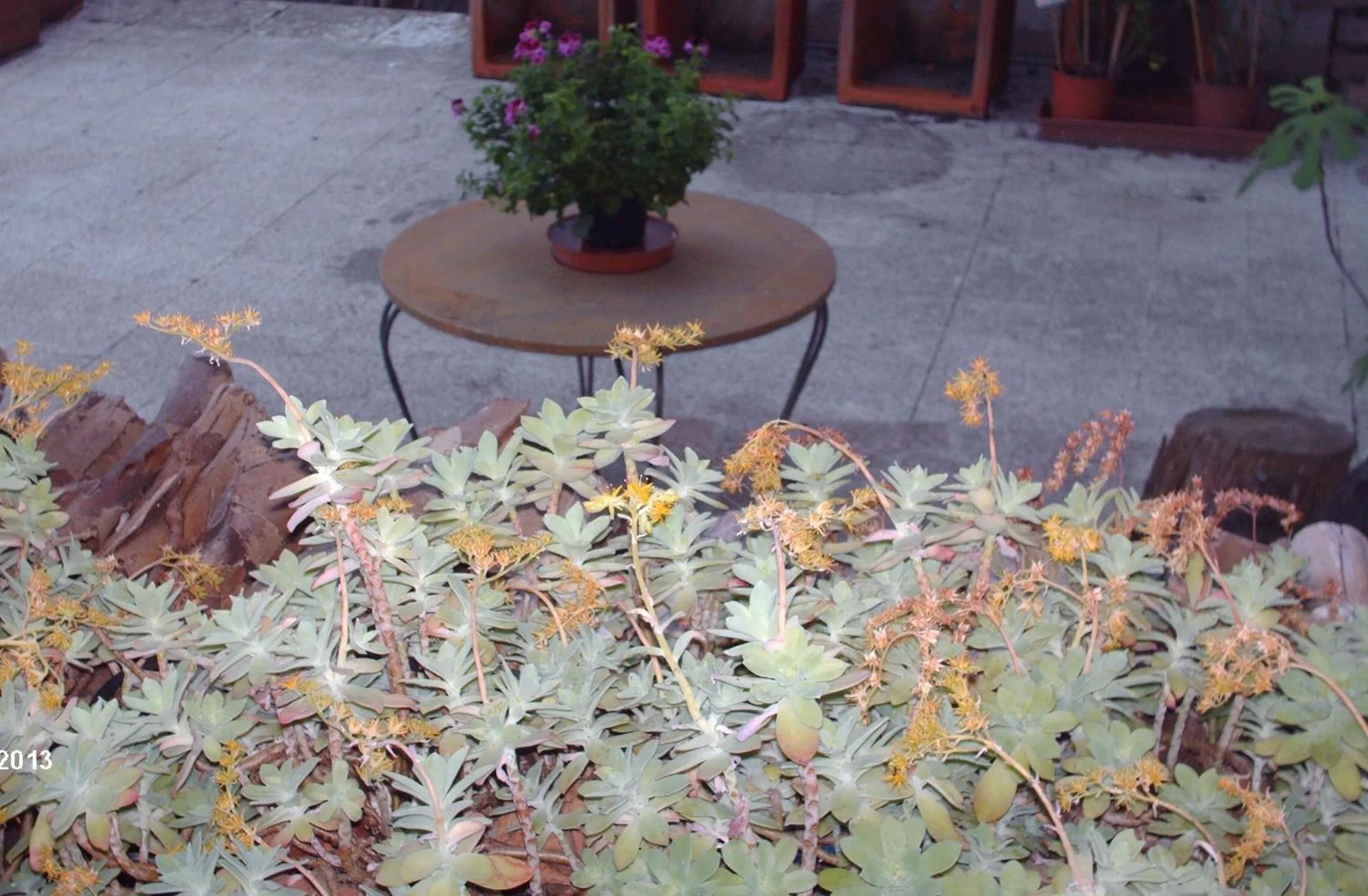 Hotel Triana e Tyche