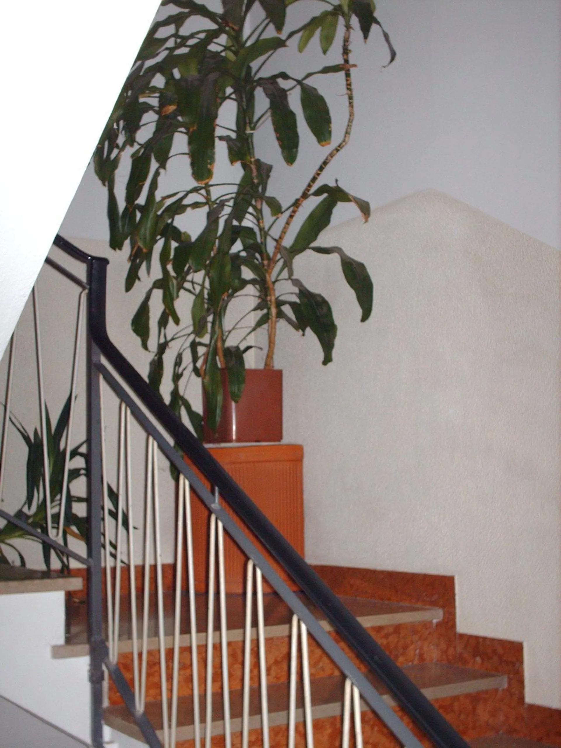 Decorative detail in Hotel Triana e Tyche