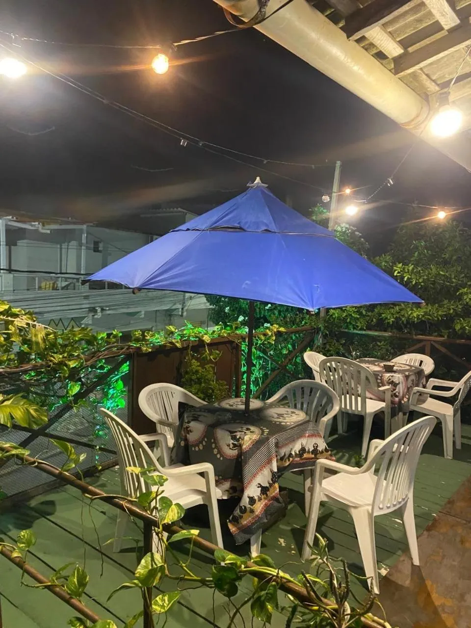 Garden view in Pousada Casa de Madeira