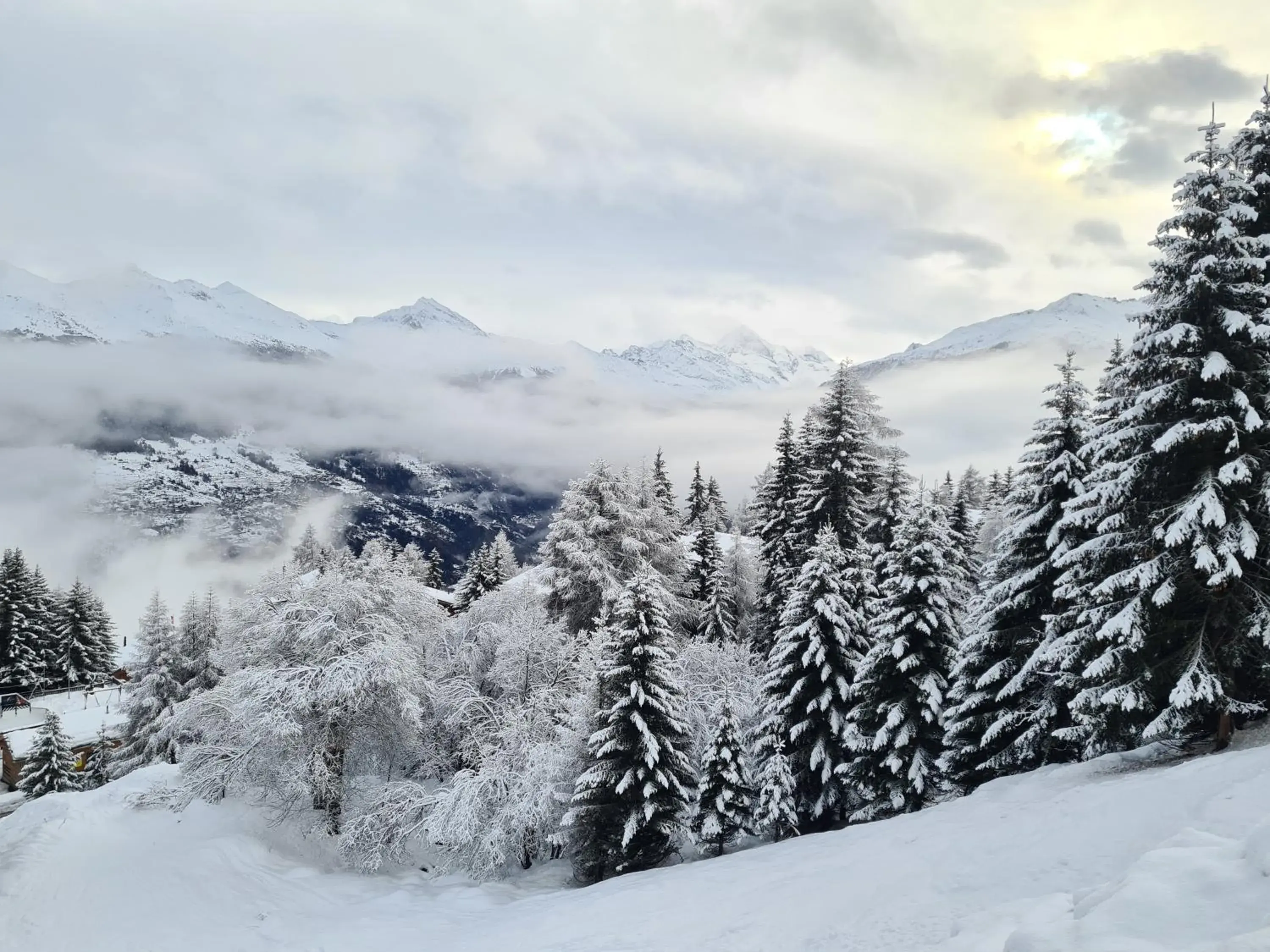 Auberge de l'Ours Auberge de l'Ours