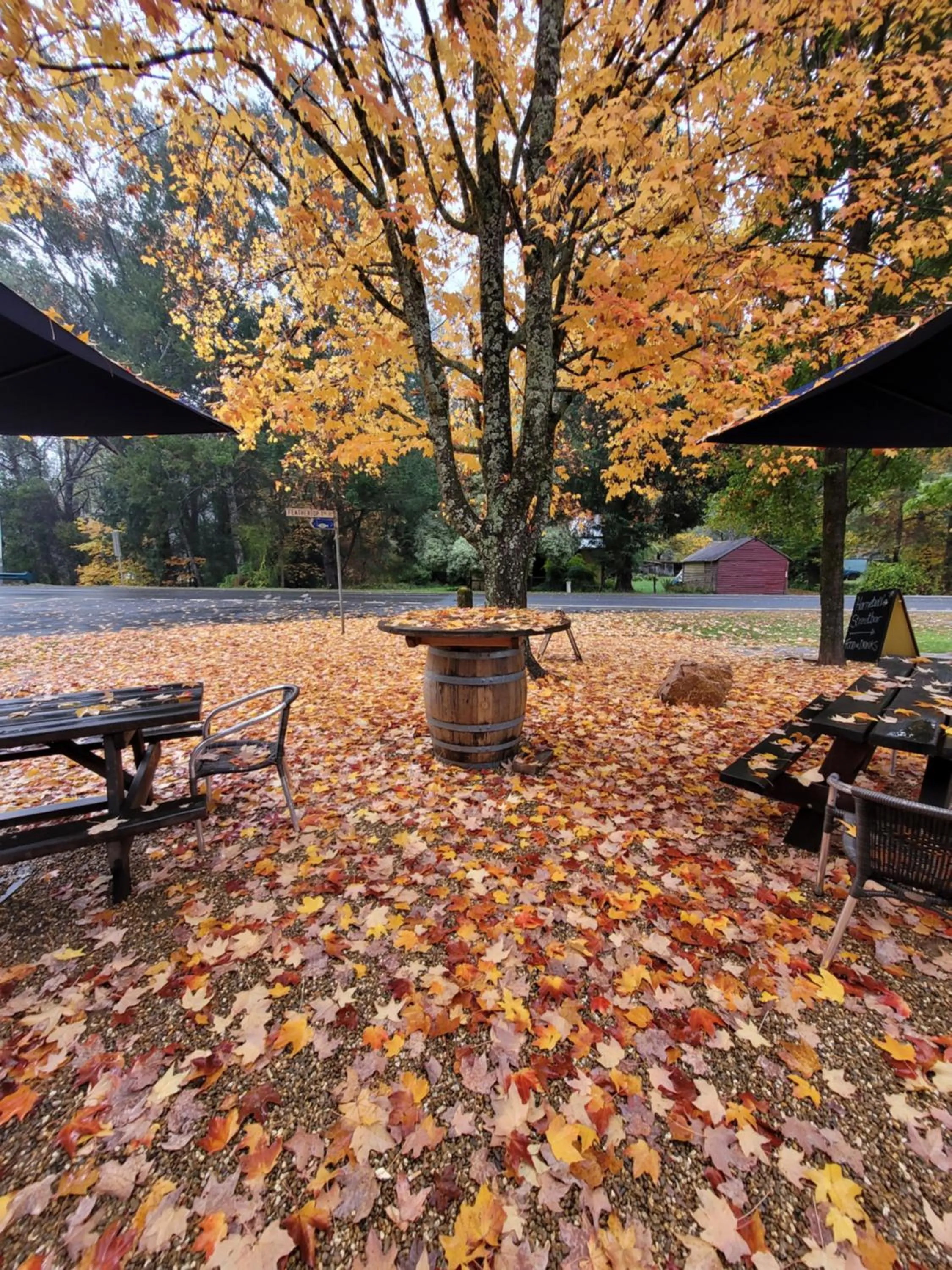 Garden in Harrietville Hotel Motel