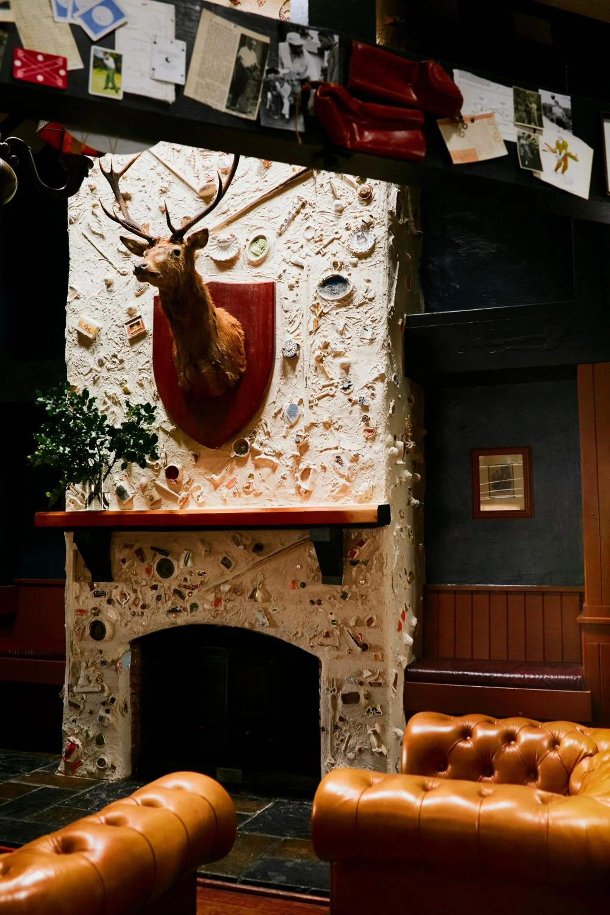 Decorative detail in Slieve Donard