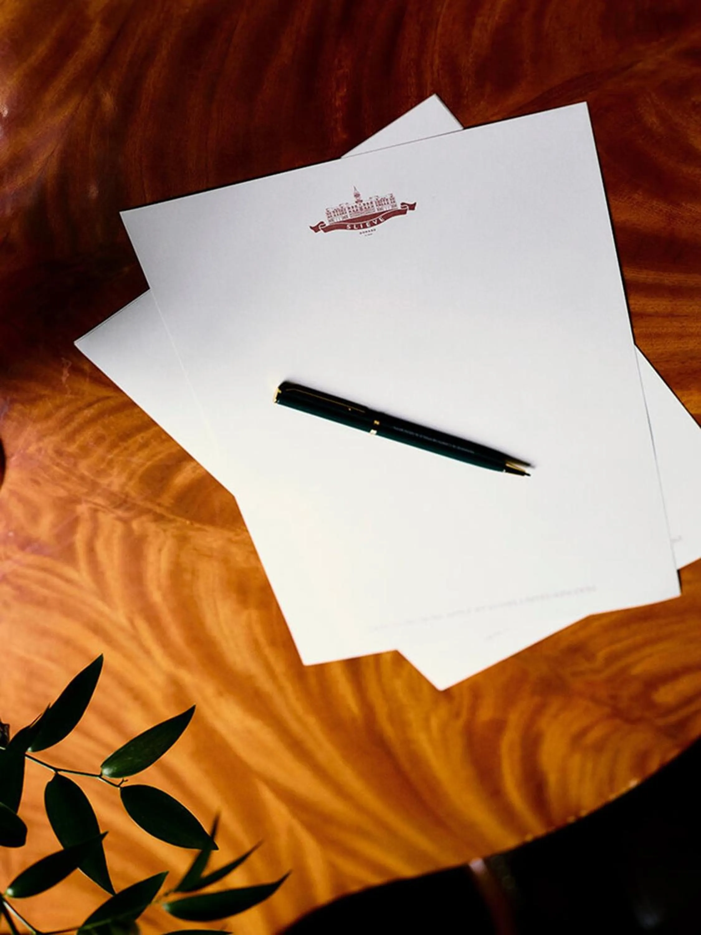 Decorative detail in Slieve Donard