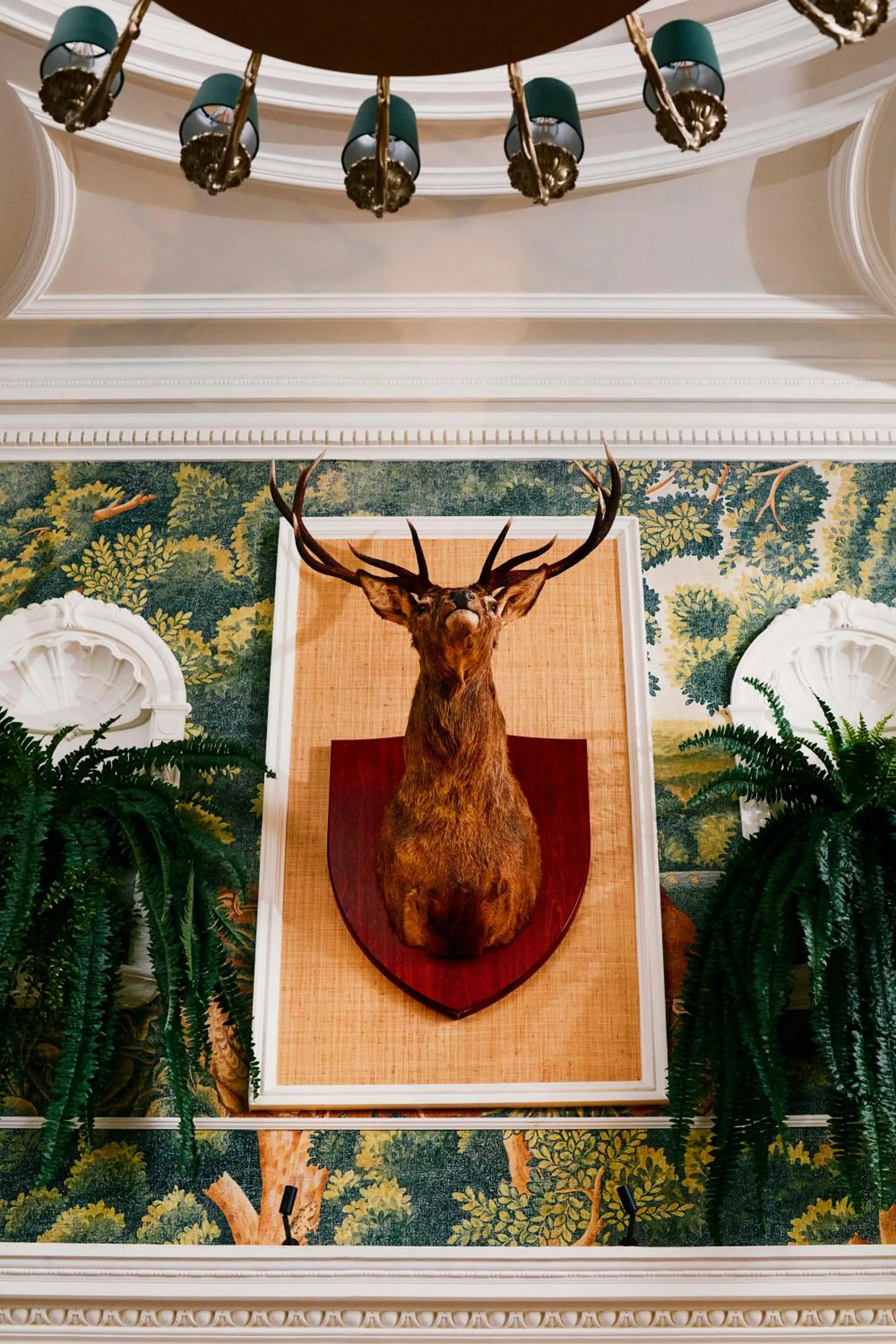 Decorative detail in Slieve Donard