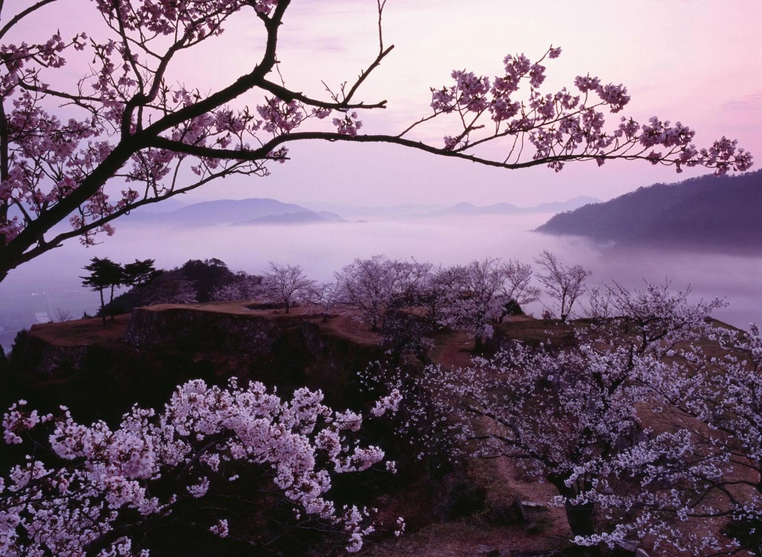 Spring in EN Takeda Castle Town Hotel