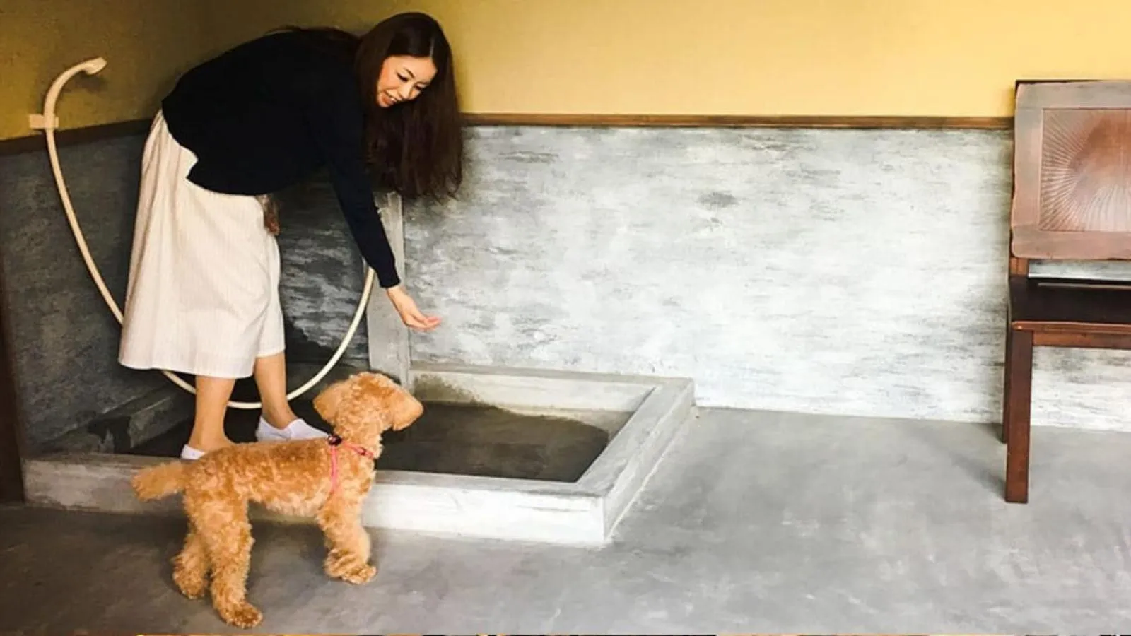 Animals in EN Takeda Castle Town Hotel