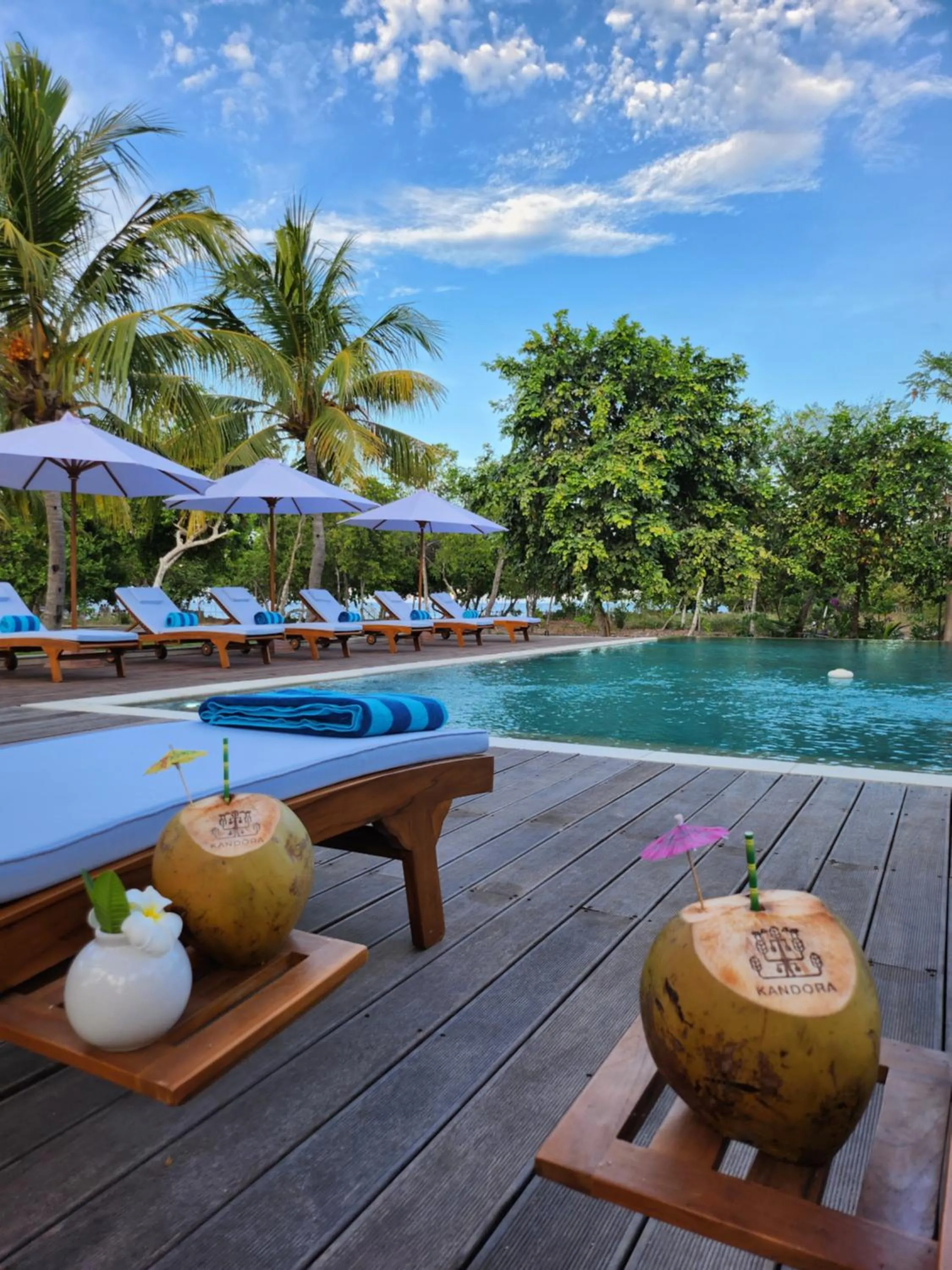 Food and drinks in KANDORA Luxury villas