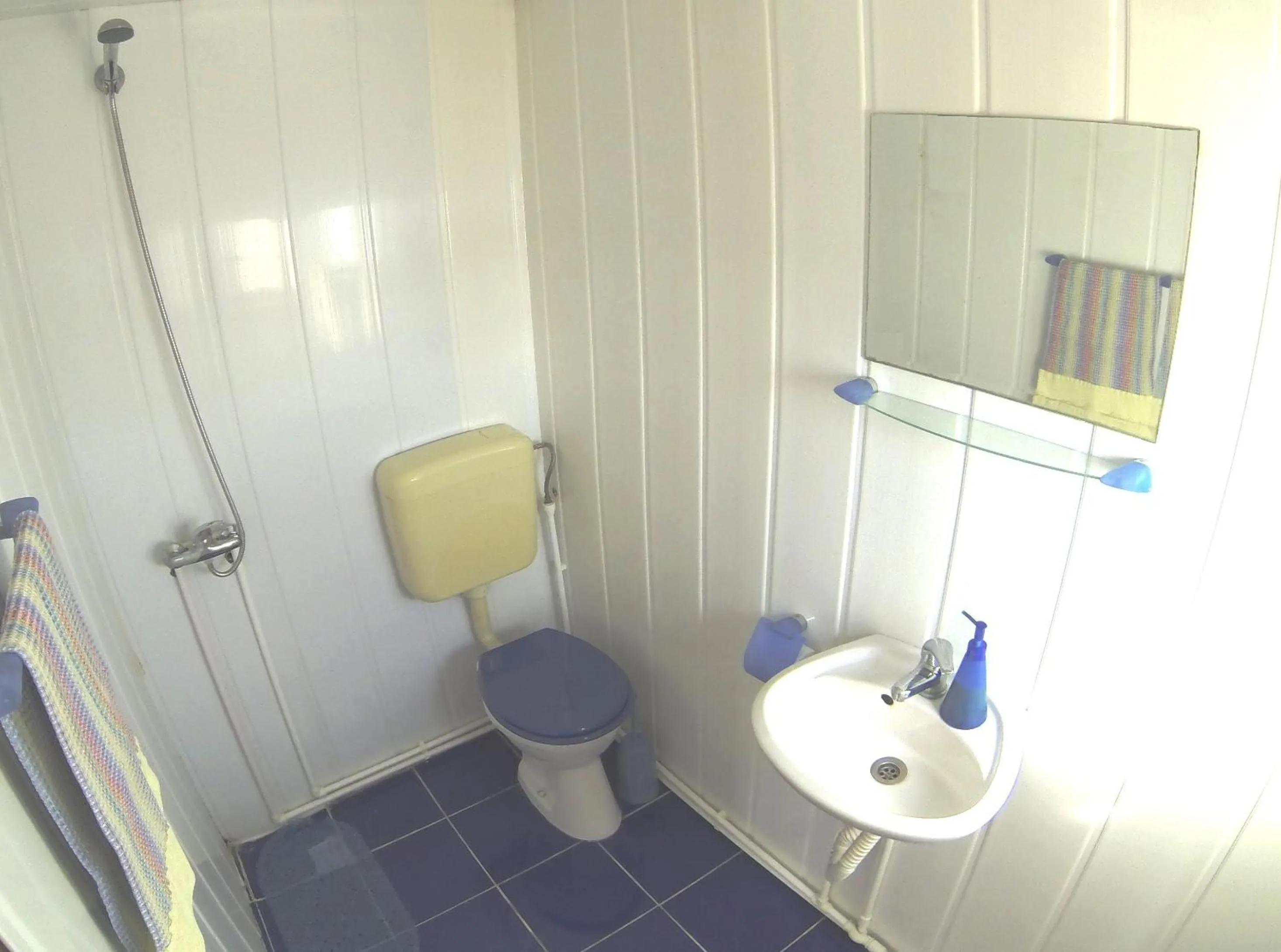 Bathroom in Delta Pontoon