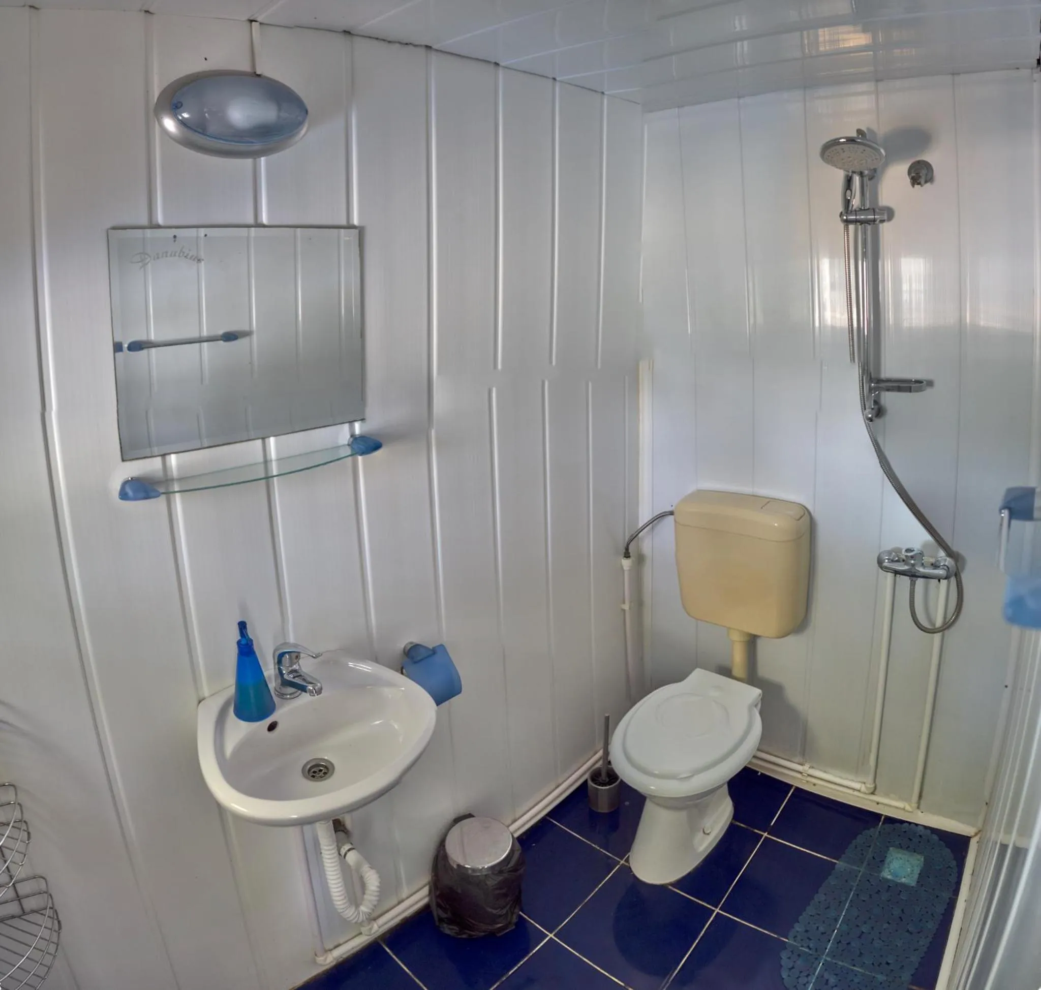 Bathroom in Delta Pontoon