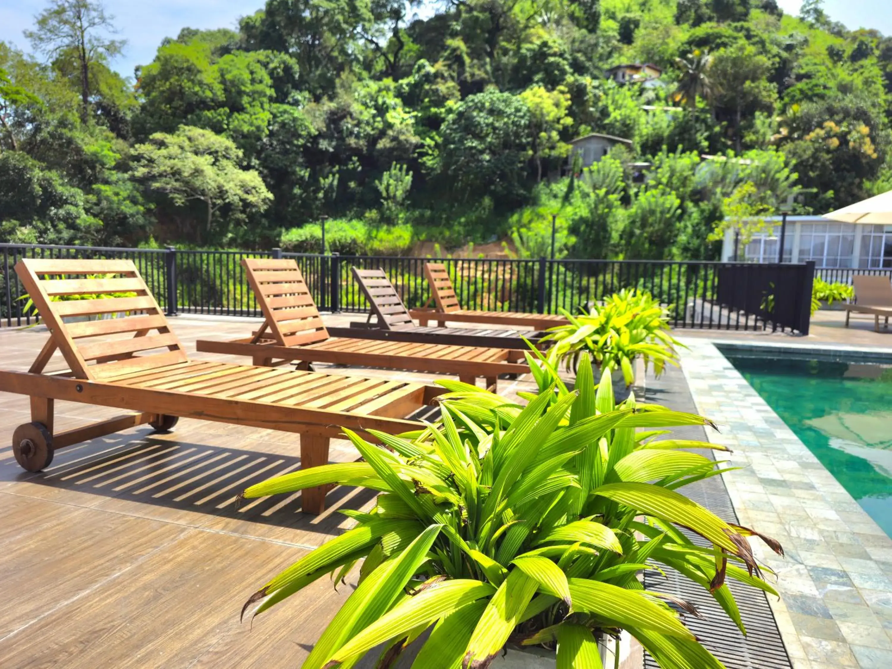 Swimming pool in Oak Ray Regency Swimming pool in Oak Ray Regency