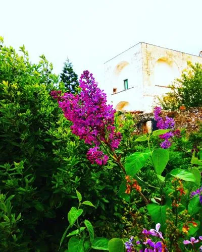Masseria delle Rose 1760