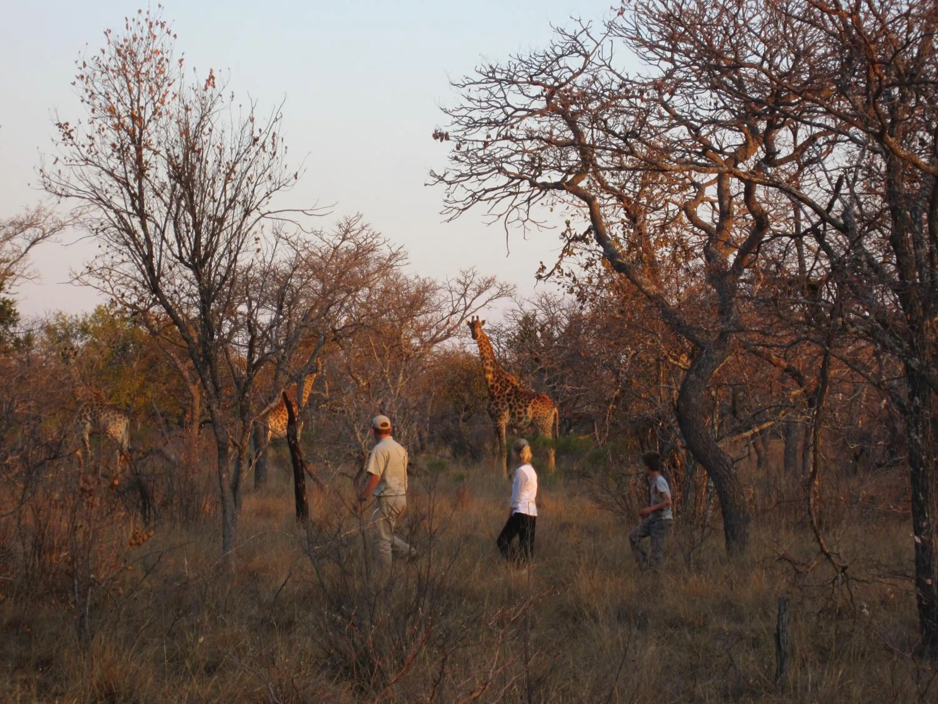 Natural landscape in Jembisa Bush Home