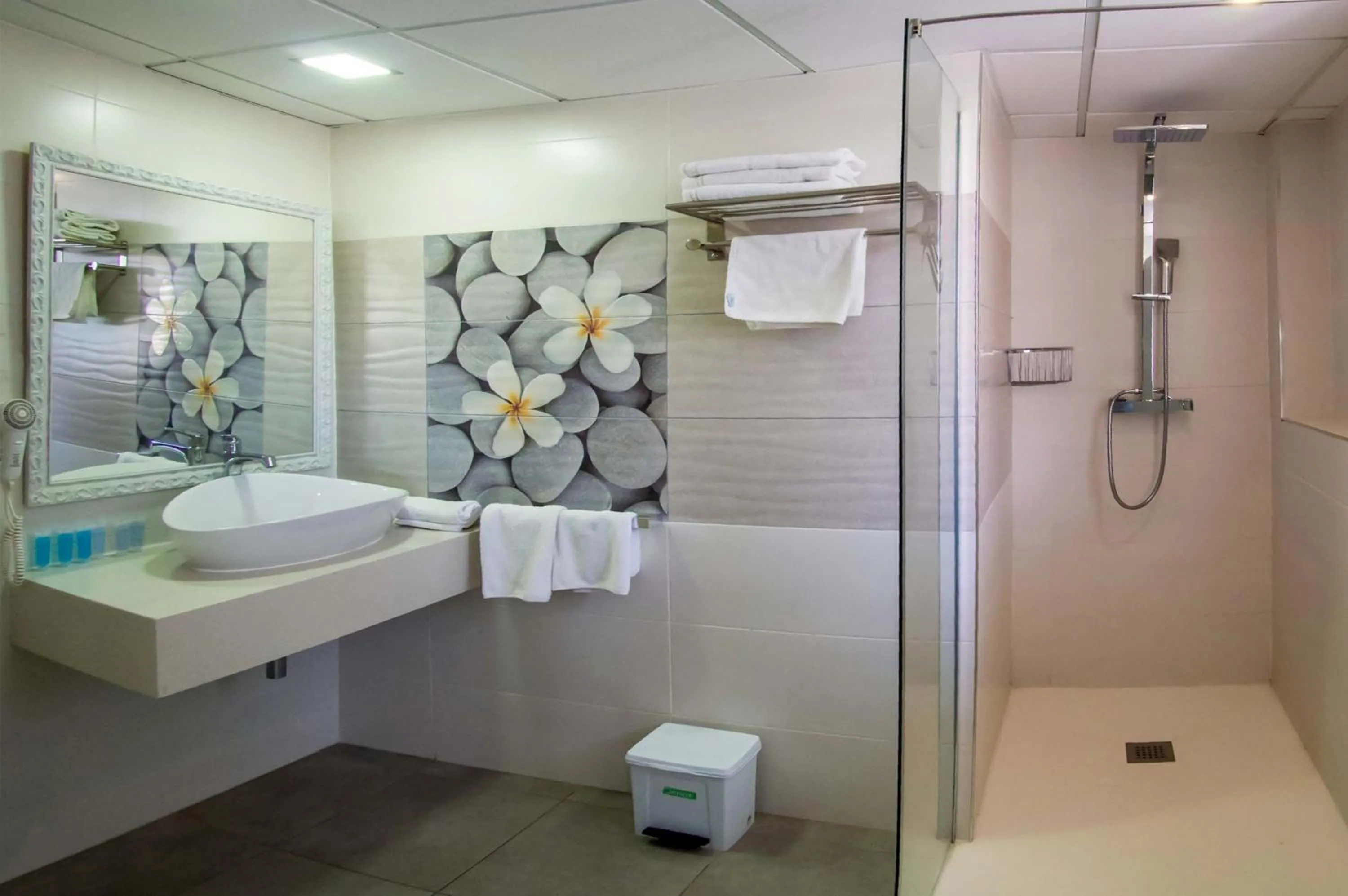 Bathroom in Hotel Europa Splash & Spa