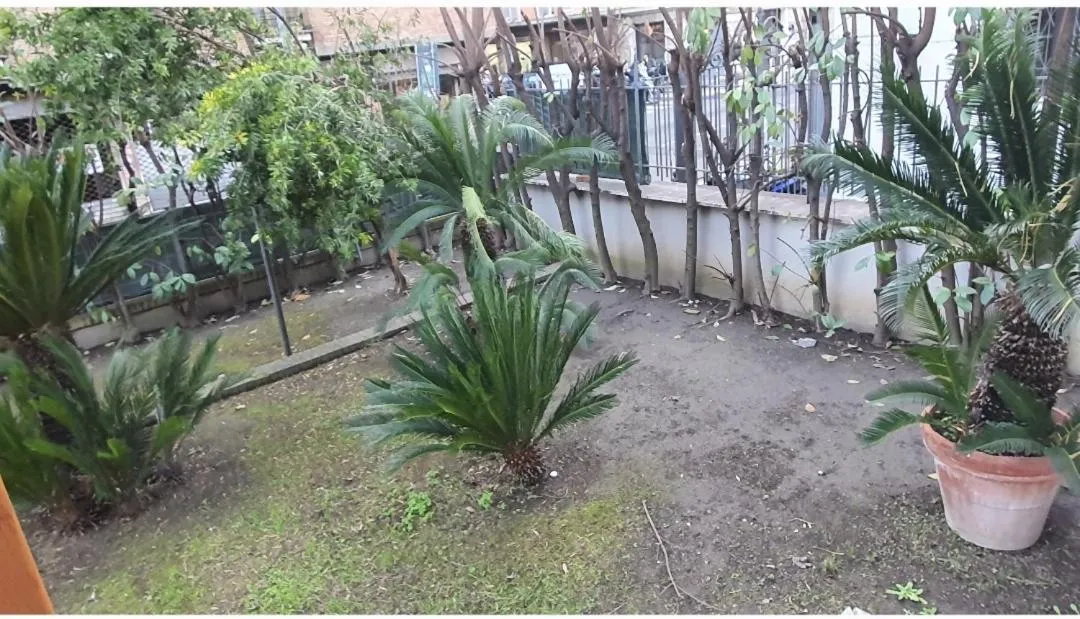 Property building in Impero Vaticano San Pietro