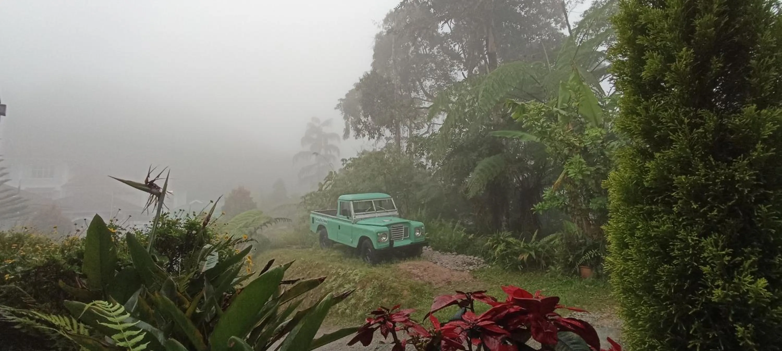 Natural landscape in Rovers Inn Guesthouse - Age 11 And Above Only